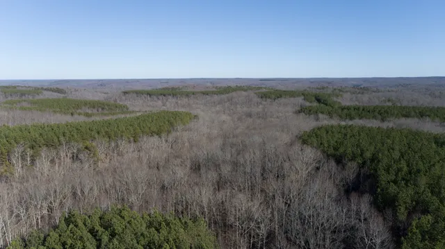 a view of a lush green space and a lake view