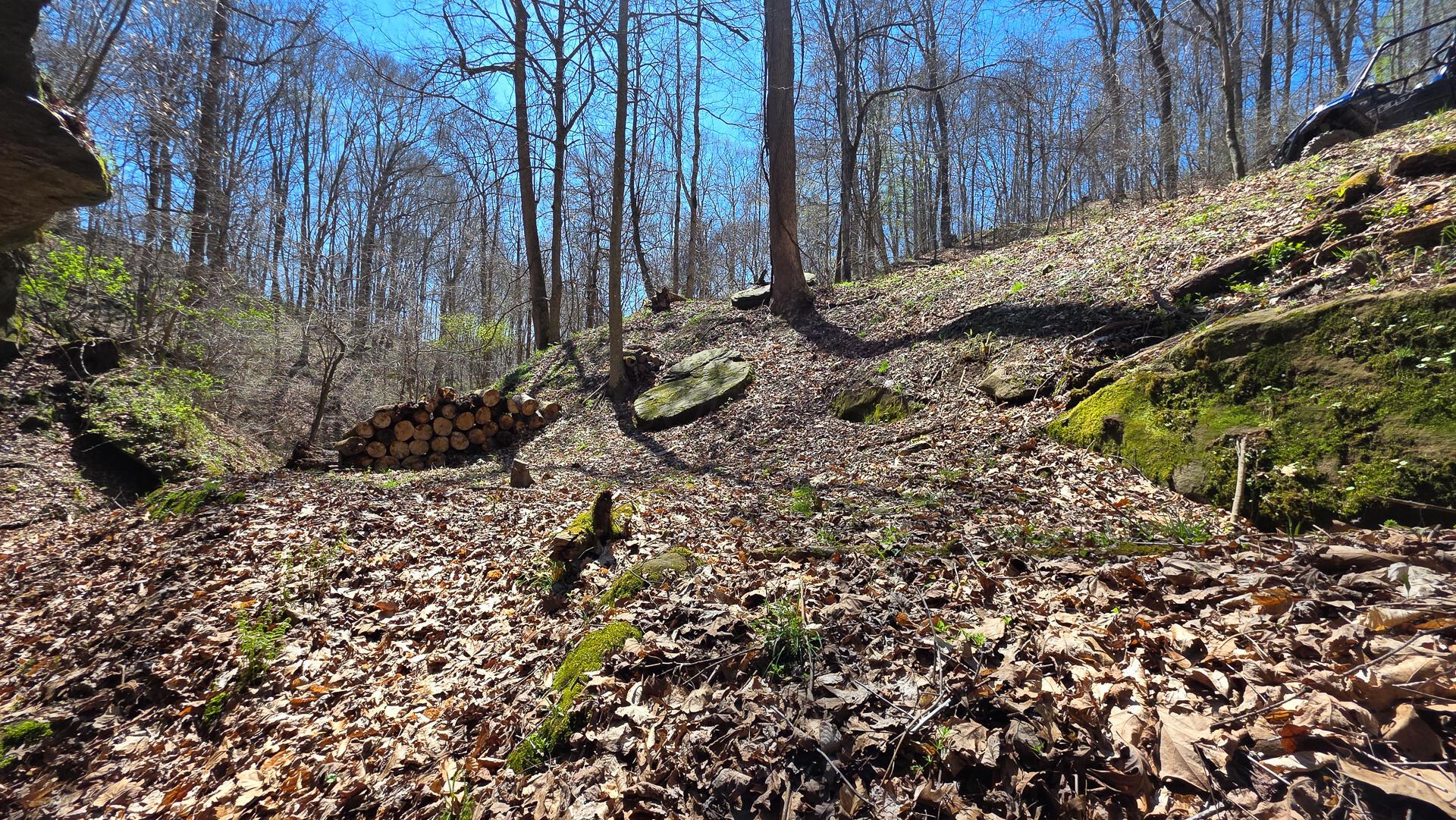 0 Remely Road, Unit MILLSTONE CAVES TRACT 1) Cutler, OH 45724 - Photo 9 of 41 CT-8