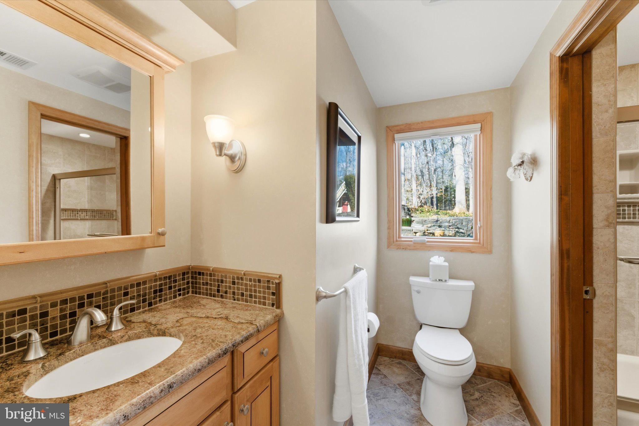 12500 Paradise Spring Road Clifton, VA 20124 - Photo 16 of 66 Jack & Jill Bath