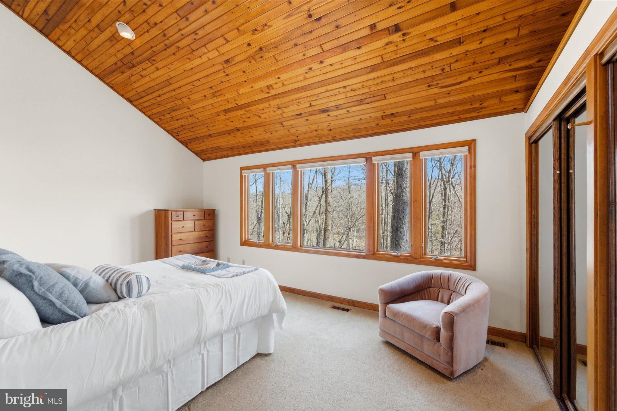 12500 Paradise Spring Road Clifton, VA 20124 - Photo 30 of 66 Primary Suite with amazing view