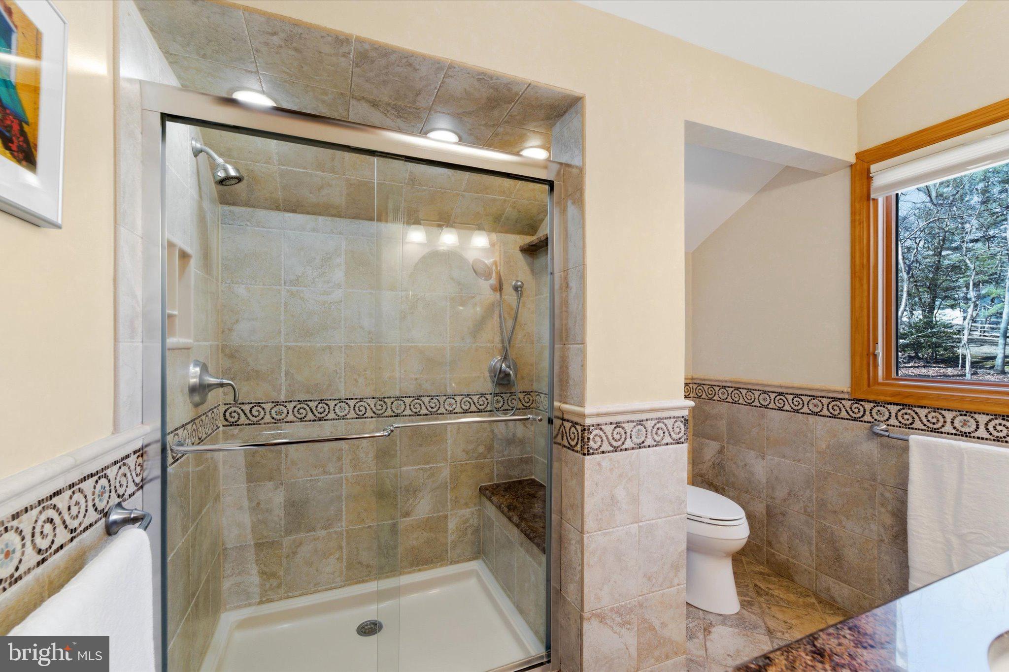 12500 Paradise Spring Road Clifton, VA 20124 - Photo 33 of 66 Primary bath