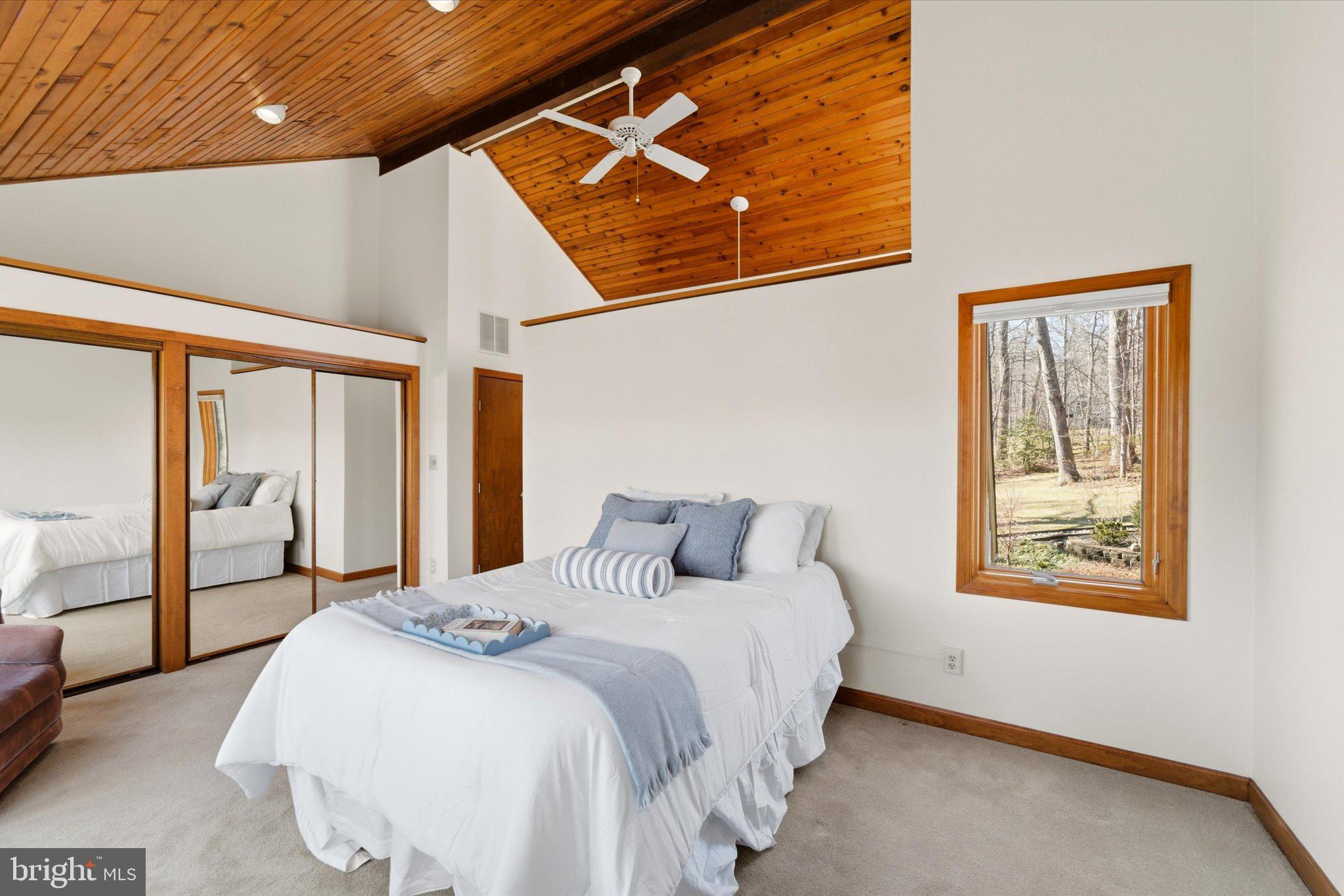 12500 Paradise Spring Road Clifton, VA 20124 - Photo 5 of 66 Primary Suite