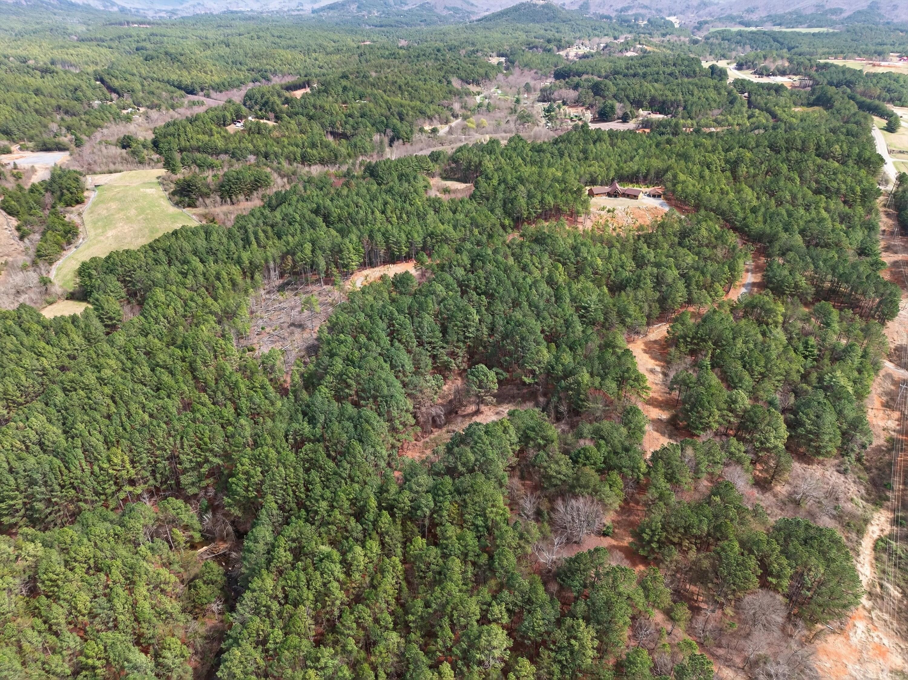 5333 Highway 64 Copperhill, TN 37317 - Photo 14 of 22 14-DJI_20260318134847_0367_D