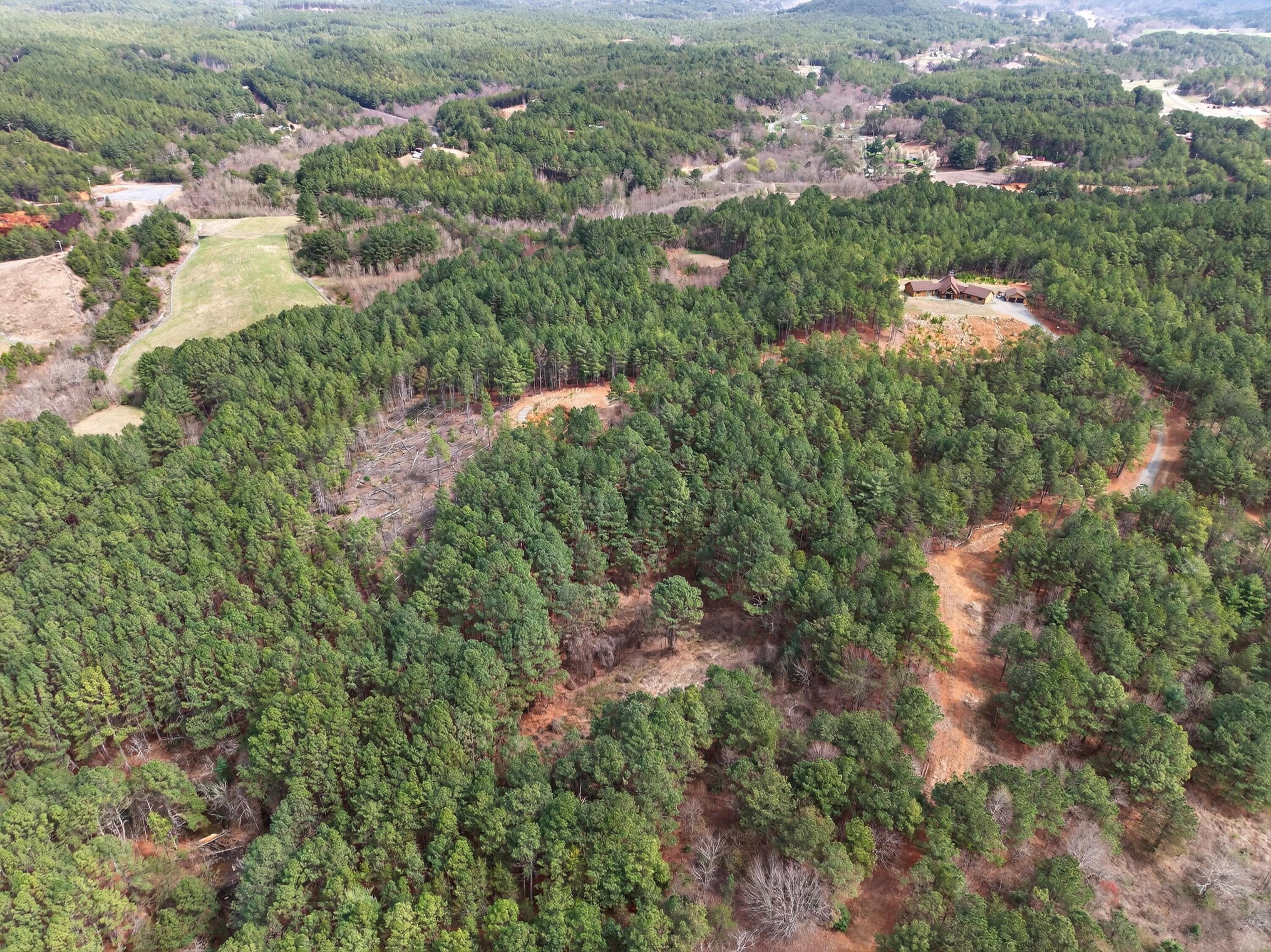 5333 Highway 64 Copperhill, TN 37317 - Photo 17 of 22 17-DJI_20260318135000_0385_D