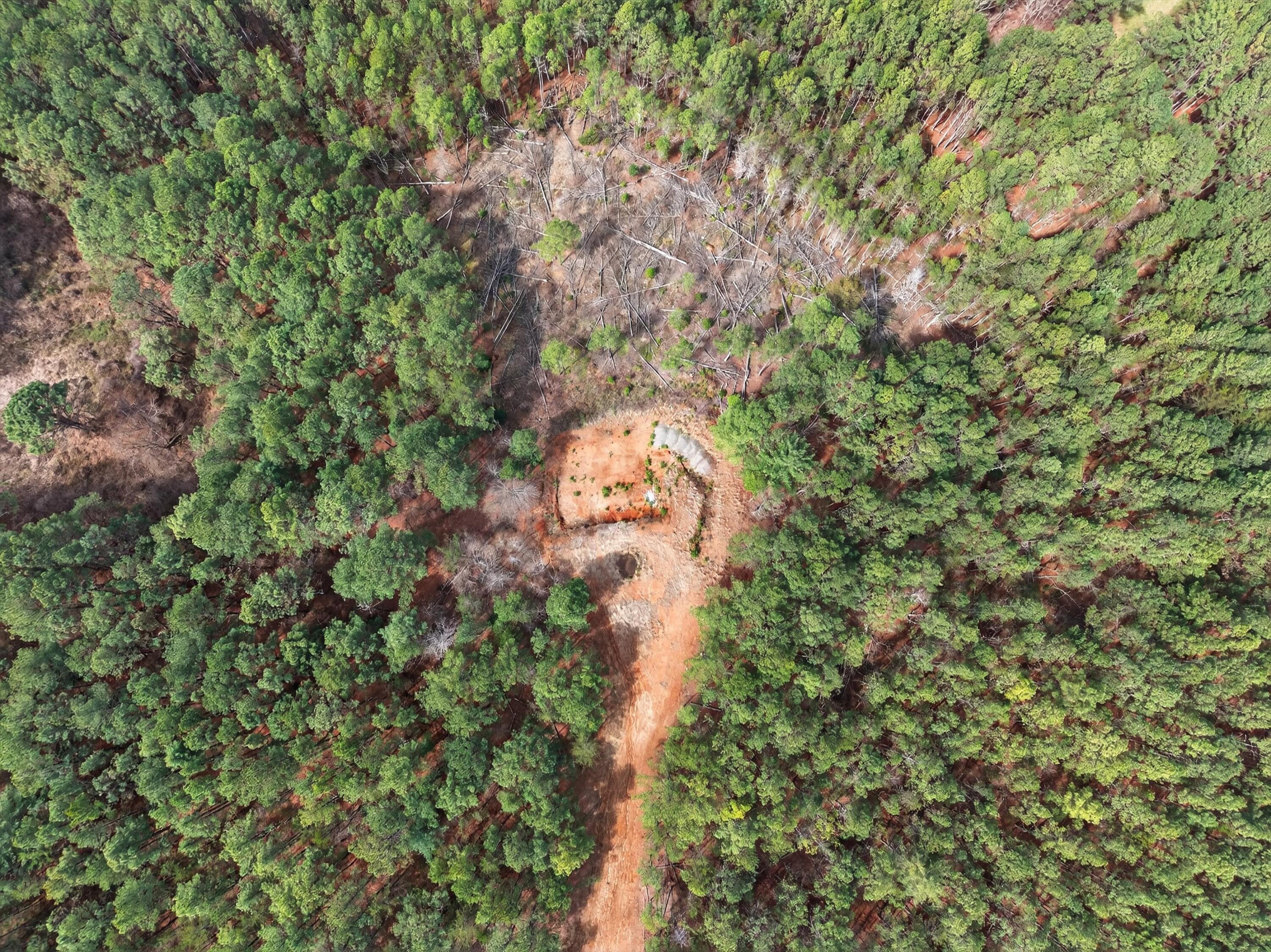 5333 Highway 64 Copperhill, TN 37317 - Photo 3 of 22 03-DJI_20260318134328_0312_D