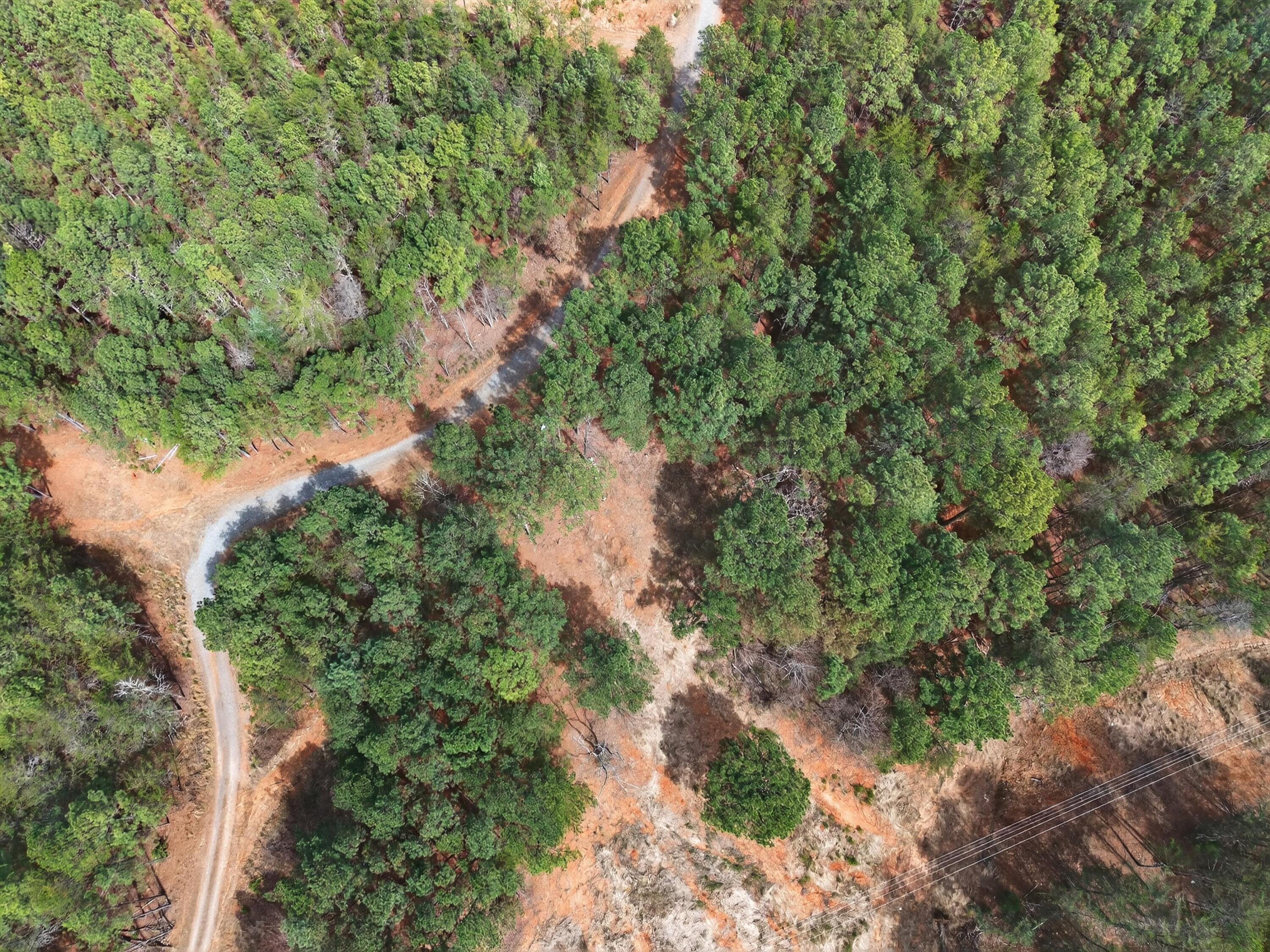 5333 Highway 64 Copperhill, TN 37317 - Photo 6 of 22 06-DJI_20260318134510_0328_D