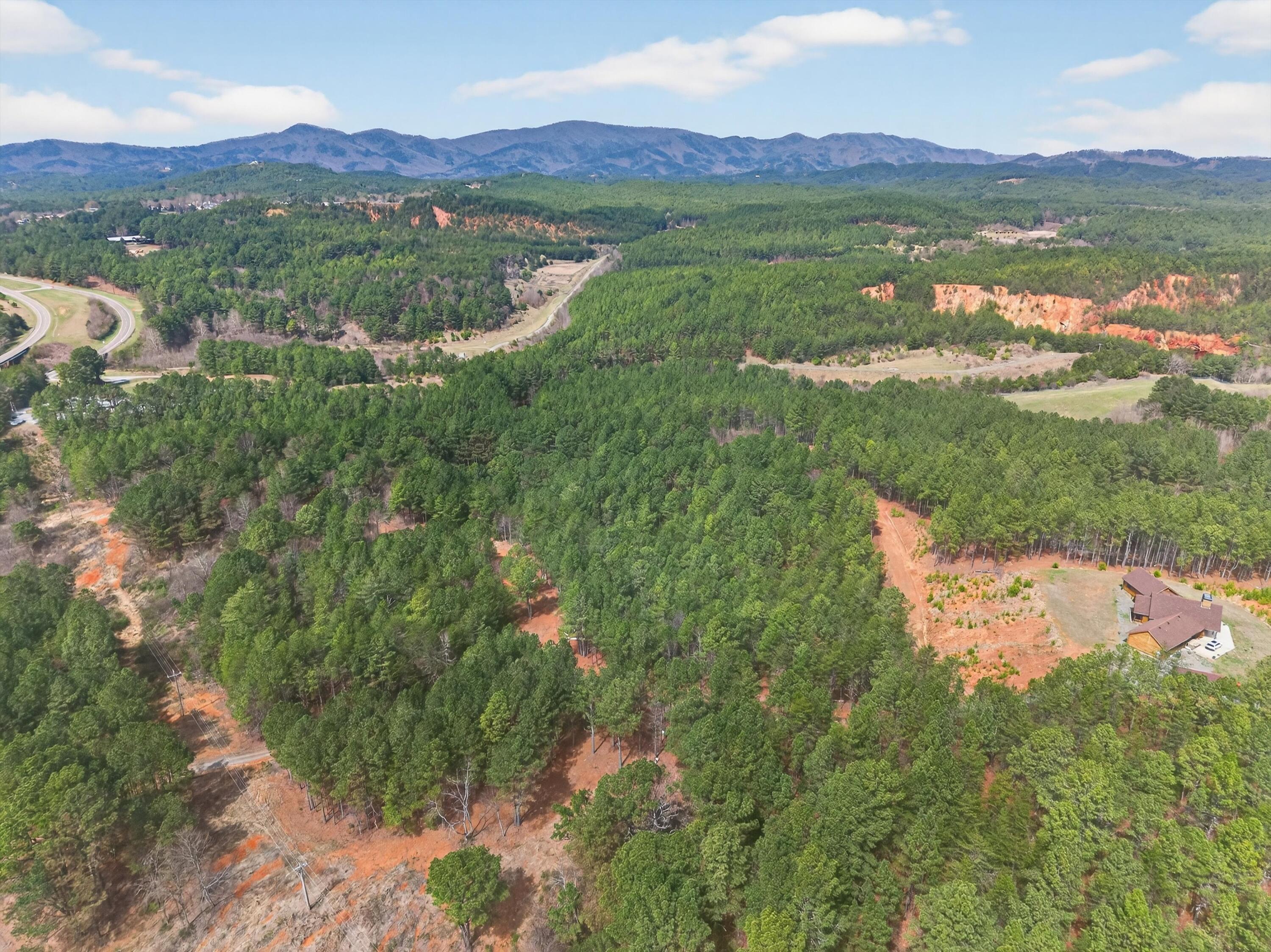 5333 Highway 64 Copperhill, TN 37317 - Photo 7 of 22 07-DJI_20260318134532_0333_D