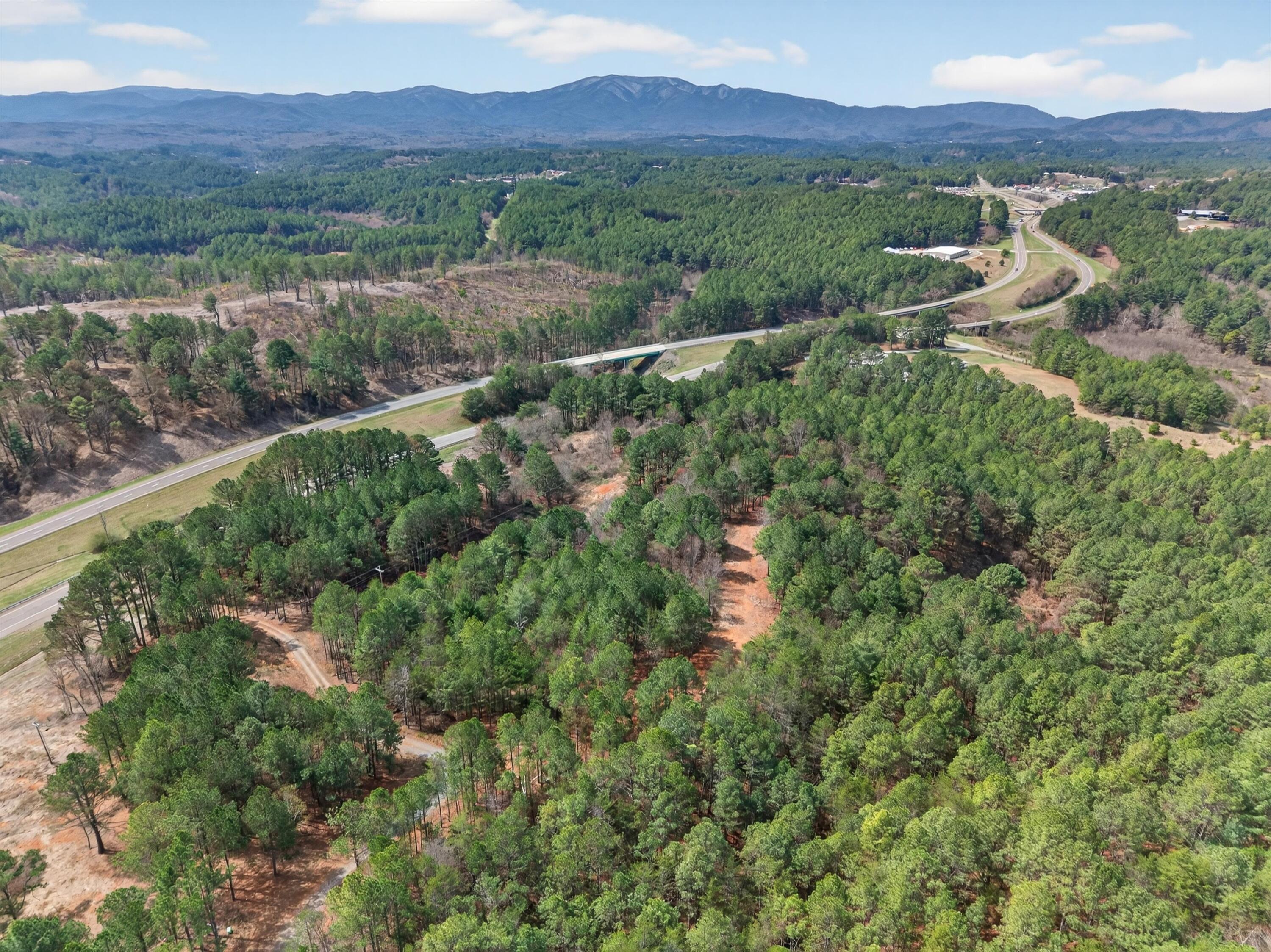 5333 Highway 64 Copperhill, TN 37317 - Photo 9 of 22 09-DJI_20260318134616_0345_D