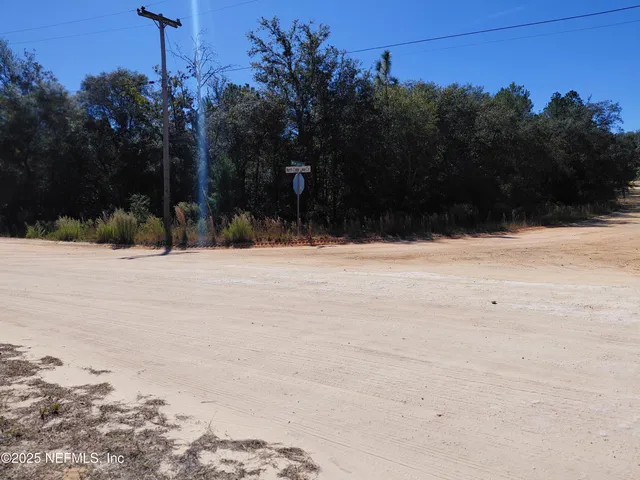 a view of a garden with a slide