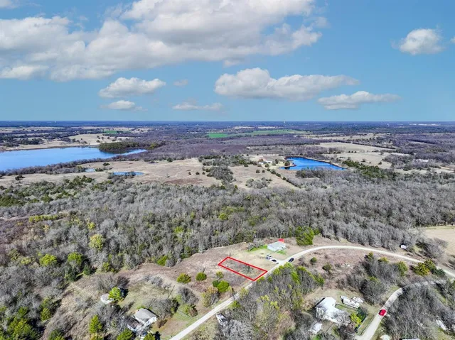 a view of a dry yard with trees