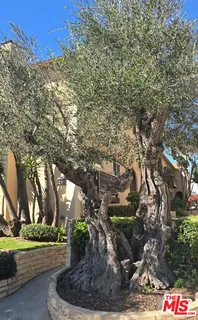 $495,000 | 8155 Manitoba Street, Unit 12, Playa del Rey, CA 90293