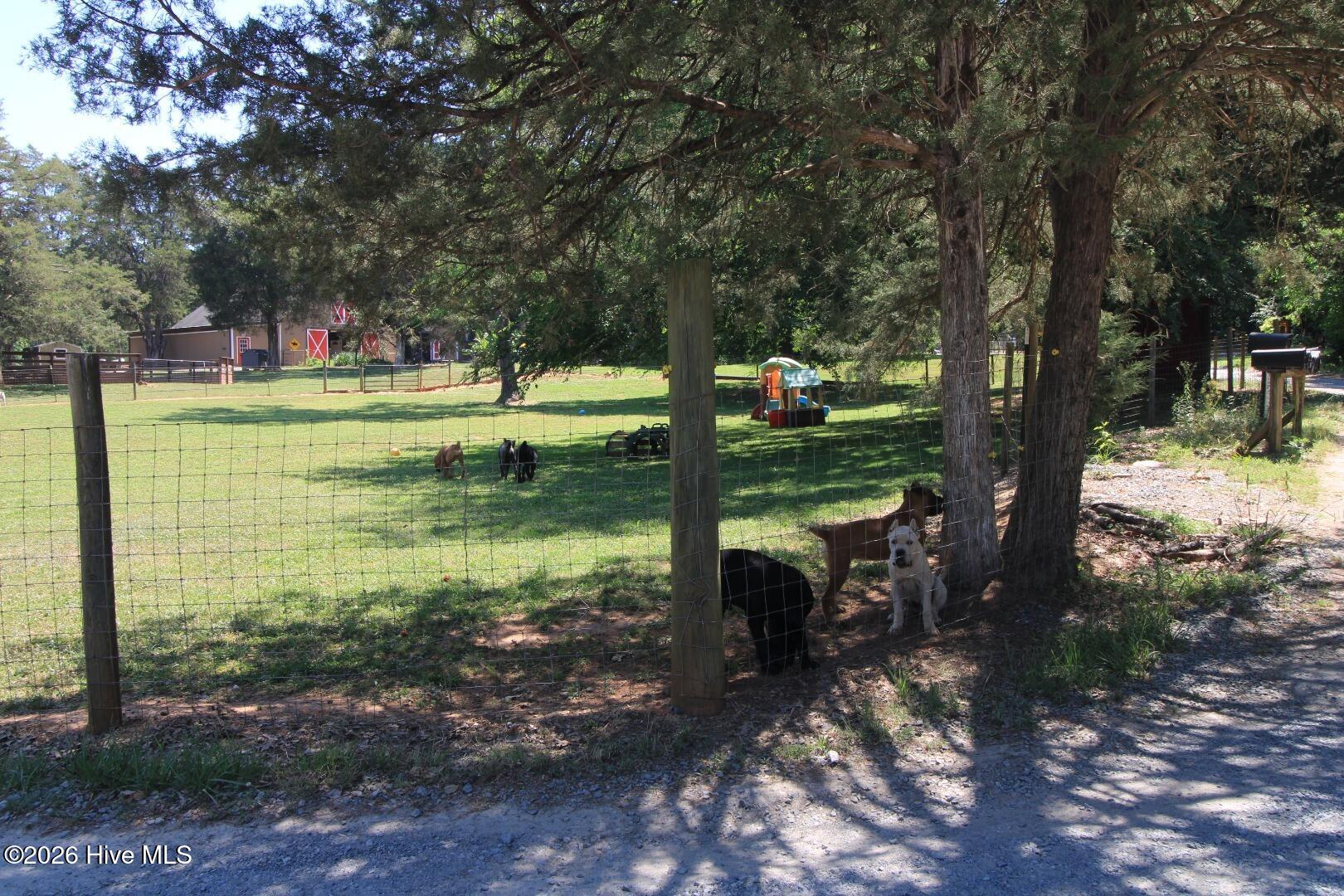 10466 Moores Chapel Road Charlotte, NC 28214 - Photo 28 of 50 Ground Doggos!