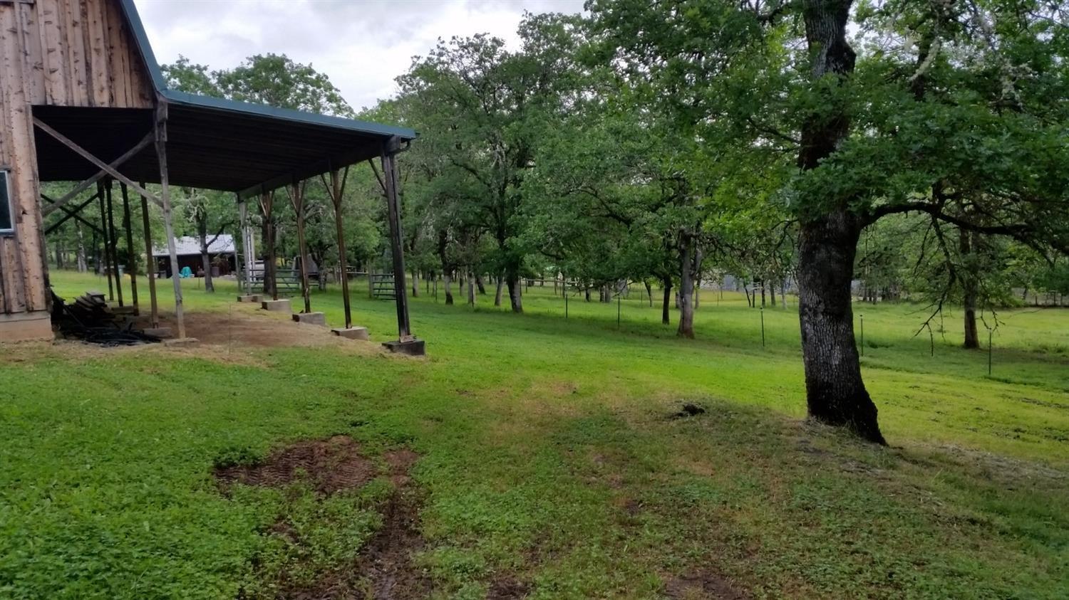 511 Donet Lane Merlin, OR 97532 - Photo 20 of 29 View of pasture