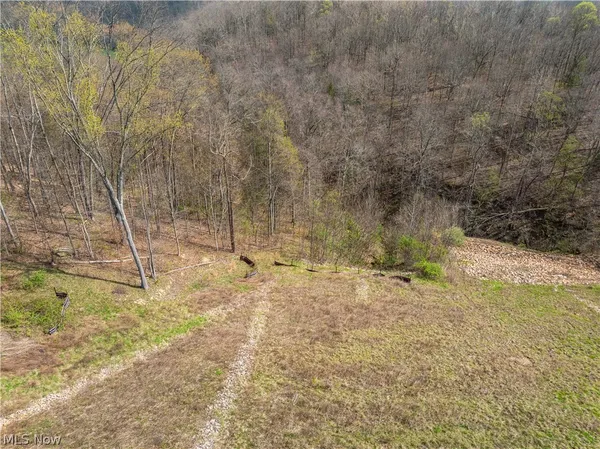 East Captina Highway Road, Alledonia, OH 43902
