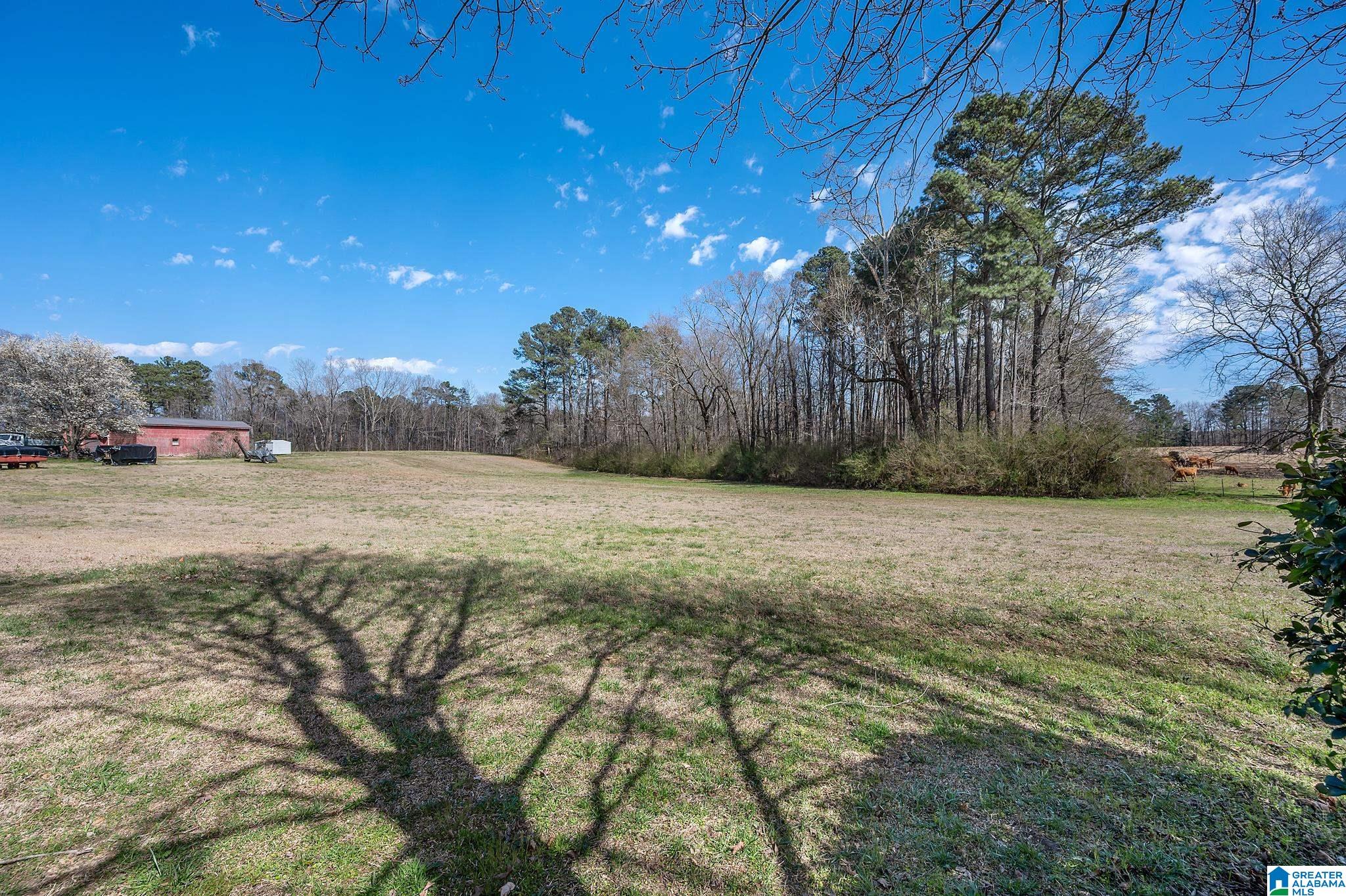 3821 Mt Olive Road Mount Olive, AL 35117 - Photo 15 of 40