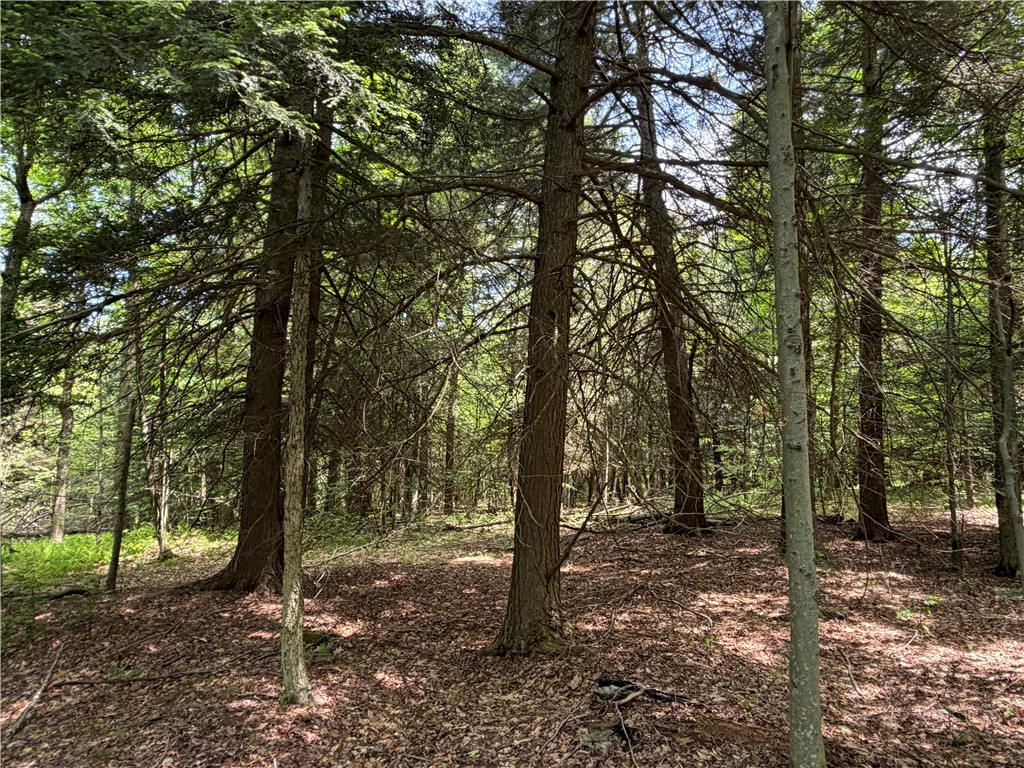 Vl 106 Road Alma, NY 14708 - Photo 22 of 36 Gallery Image 22