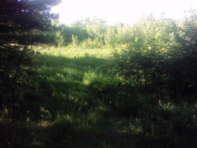 0 Dam Road Beddington, ME 04622 - Photo 3 of 5 Photo