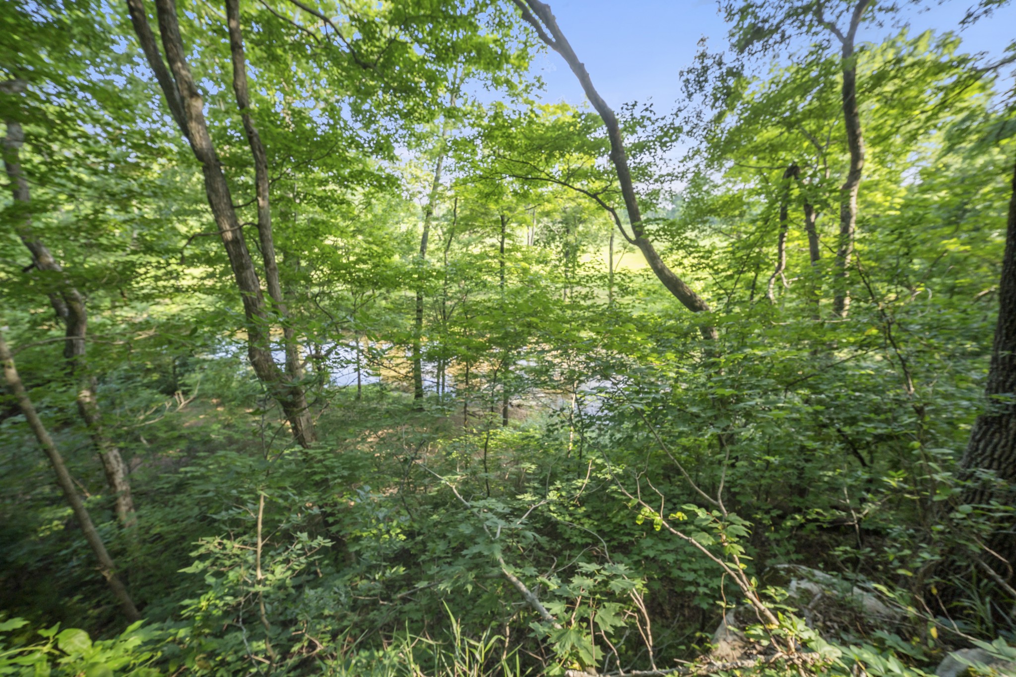 22153 Highway 49 East Springfield, TN 37172 - Photo 42 of 52
