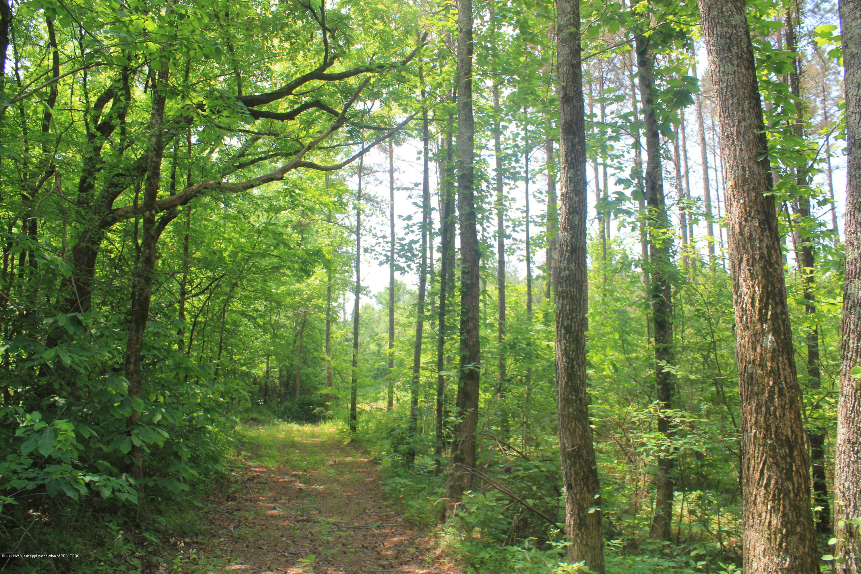 2 Smith Grove Road Holly Springs, MS 38635 - Photo 12 of 32 029