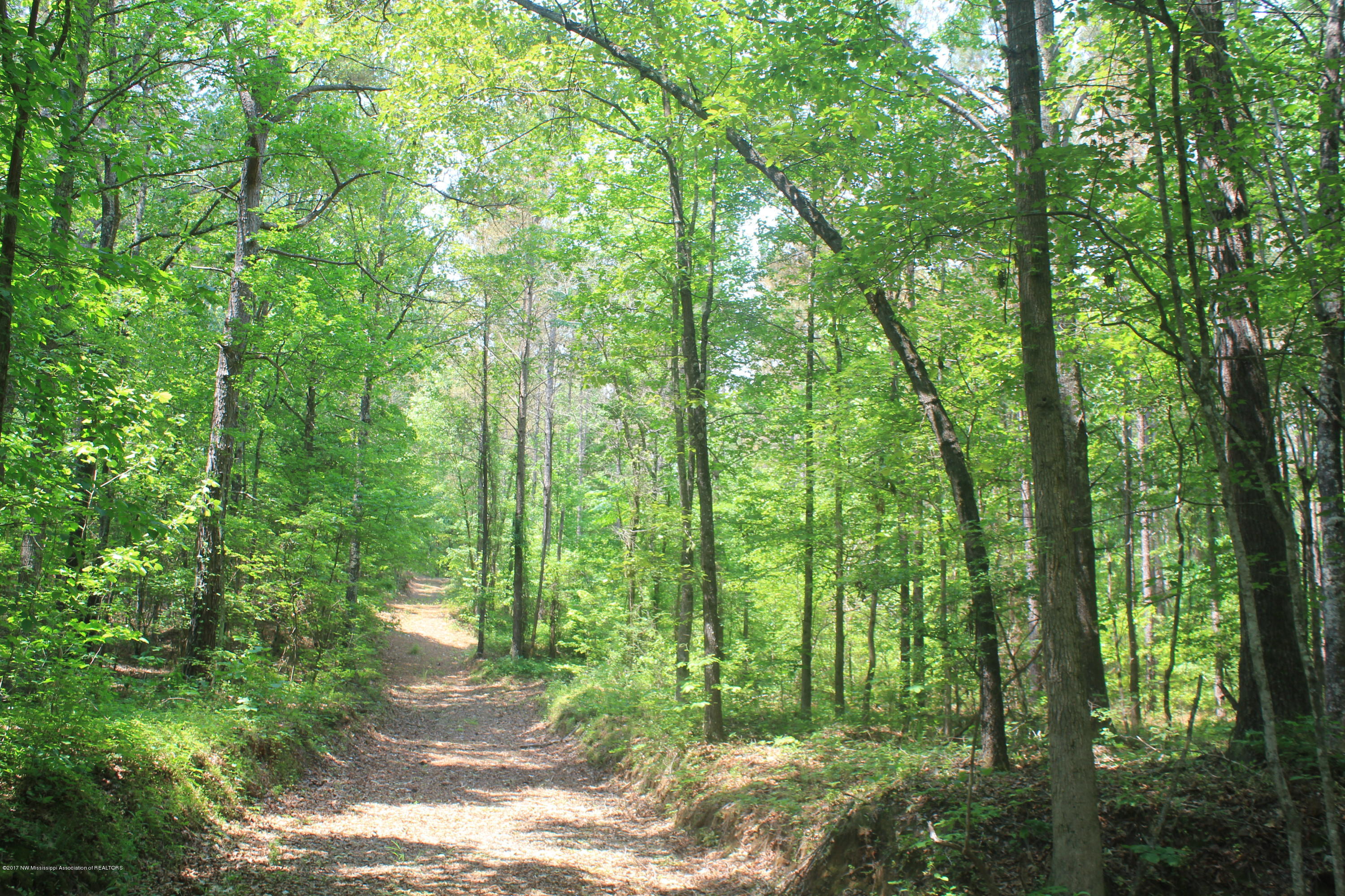 2 Smith Grove Road Holly Springs, MS 38635 - Photo 21 of 32 047