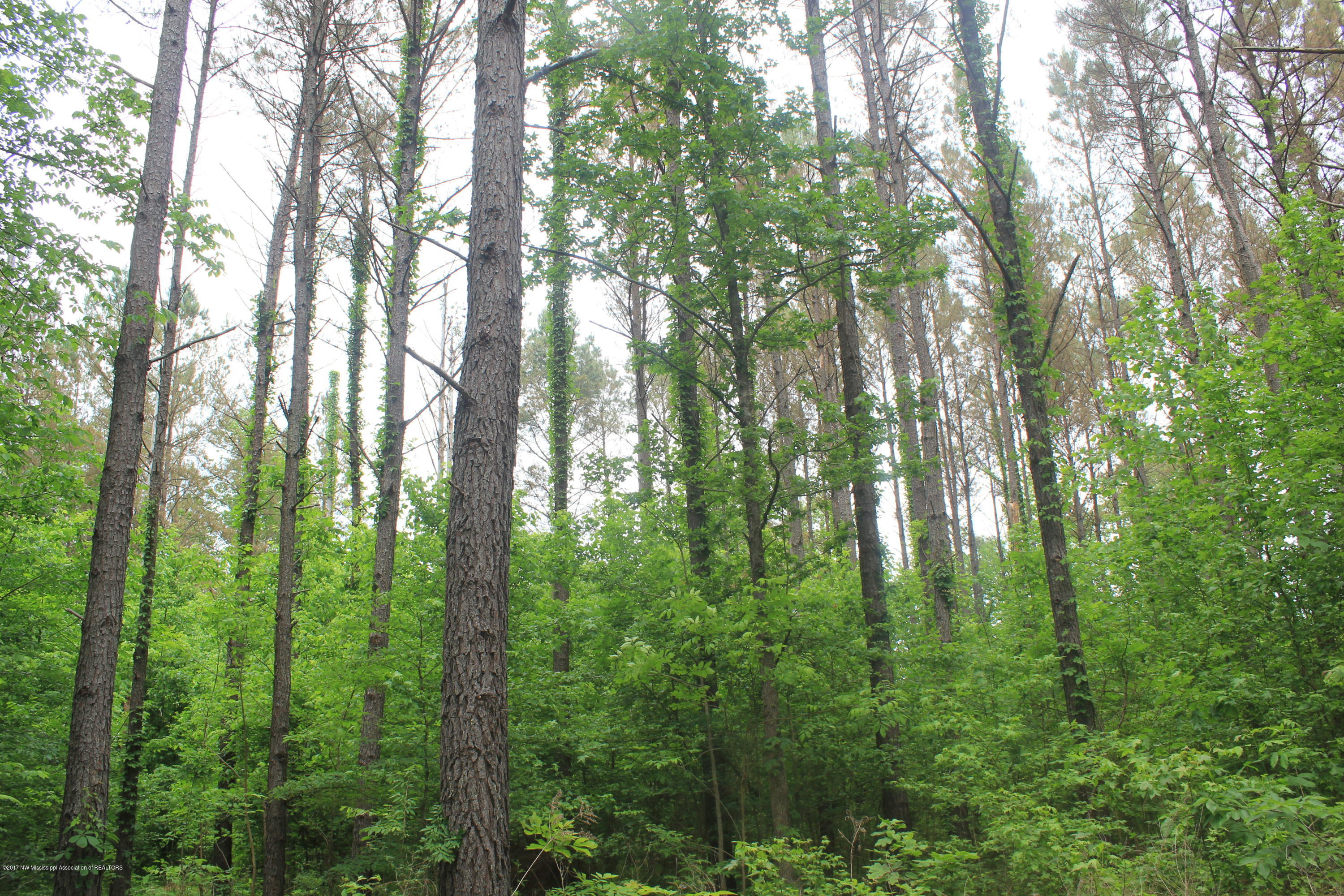 2 Smith Grove Road Holly Springs, MS 38635 - Photo 29 of 32 066