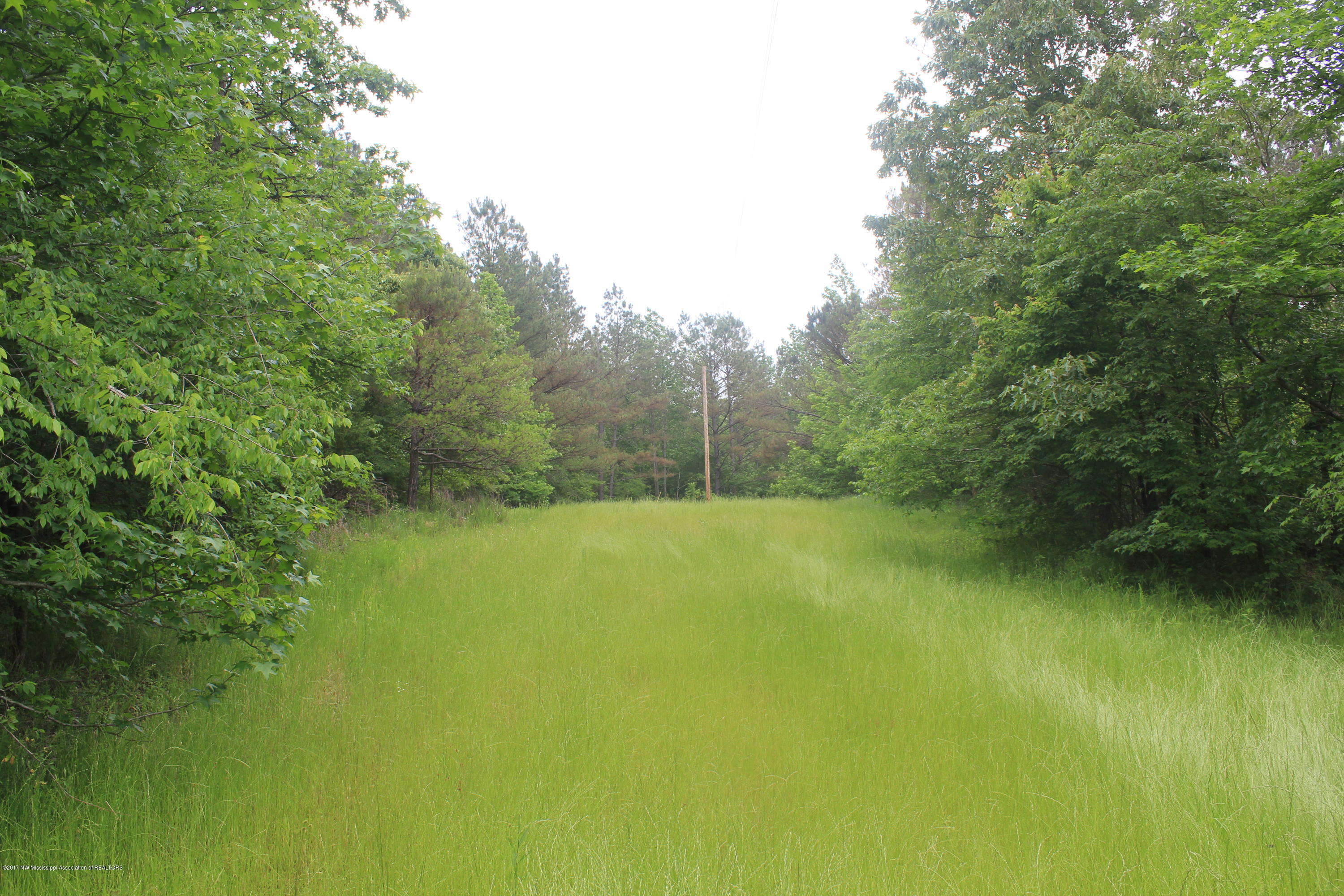 2 Smith Grove Road Holly Springs, MS 38635 - Photo 32 of 32 075