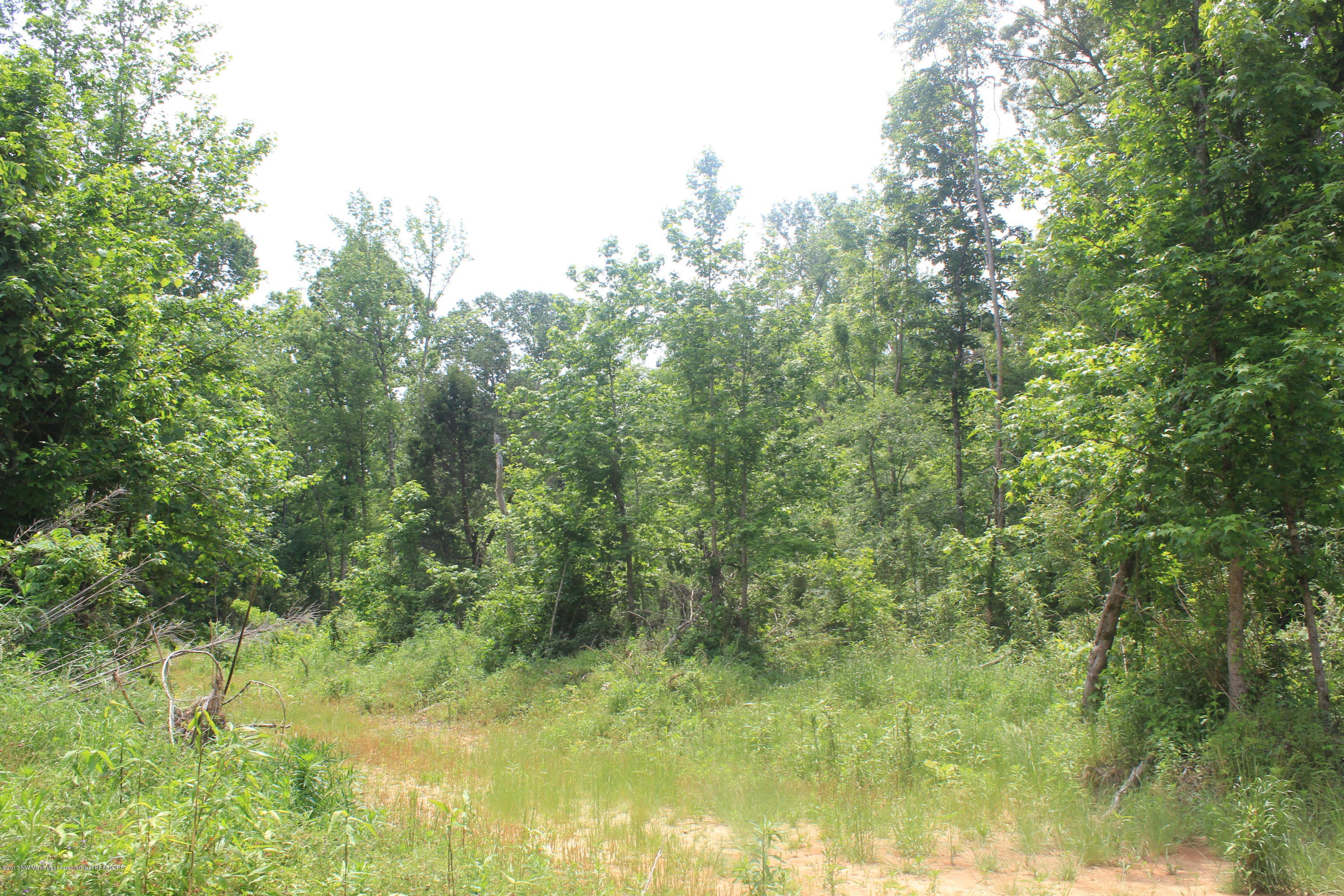 2 Smith Grove Road Holly Springs, MS 38635 - Photo 7 of 32 018