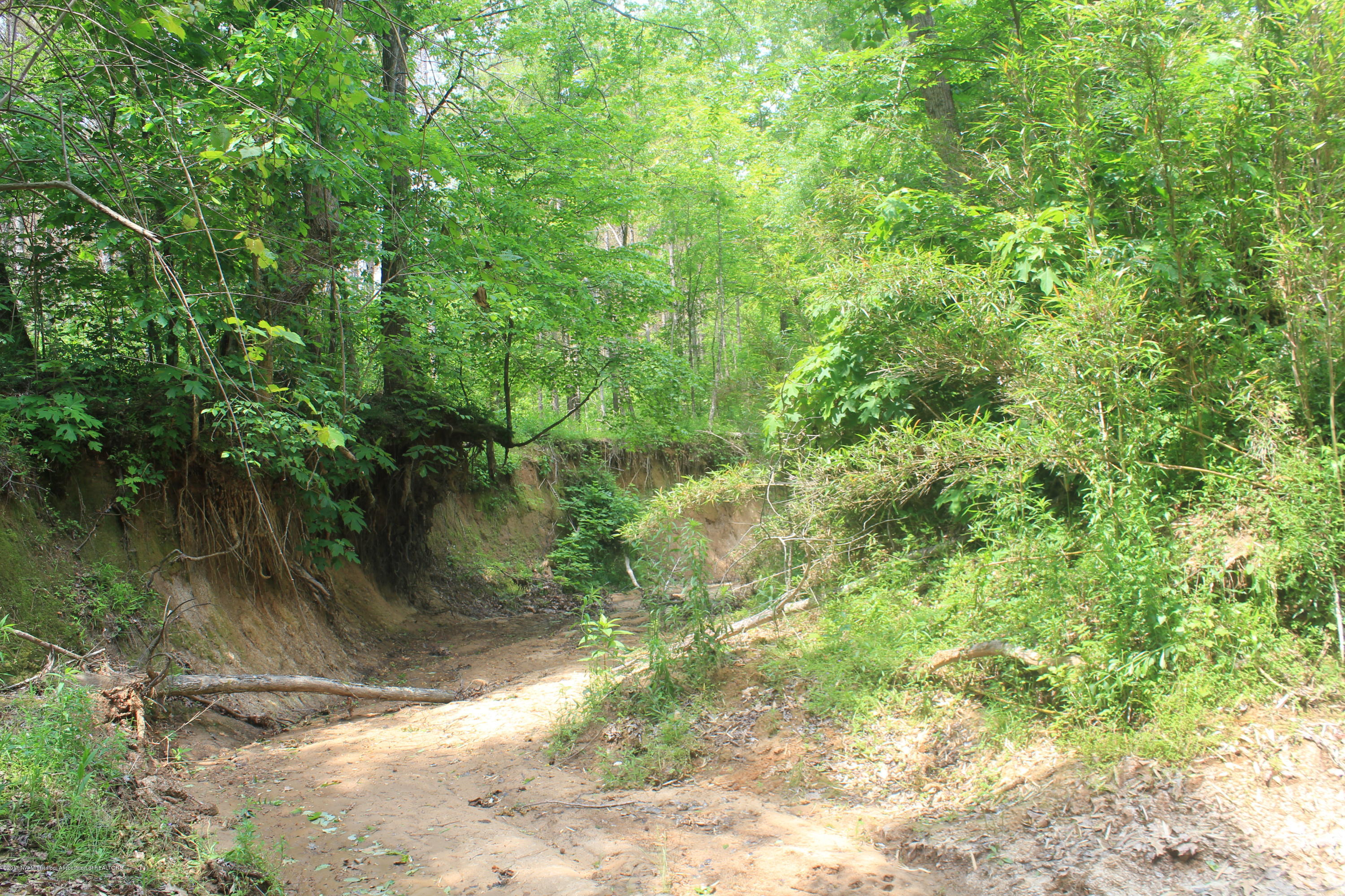 2 Smith Grove Road Holly Springs, MS 38635 - Photo 8 of 32 021