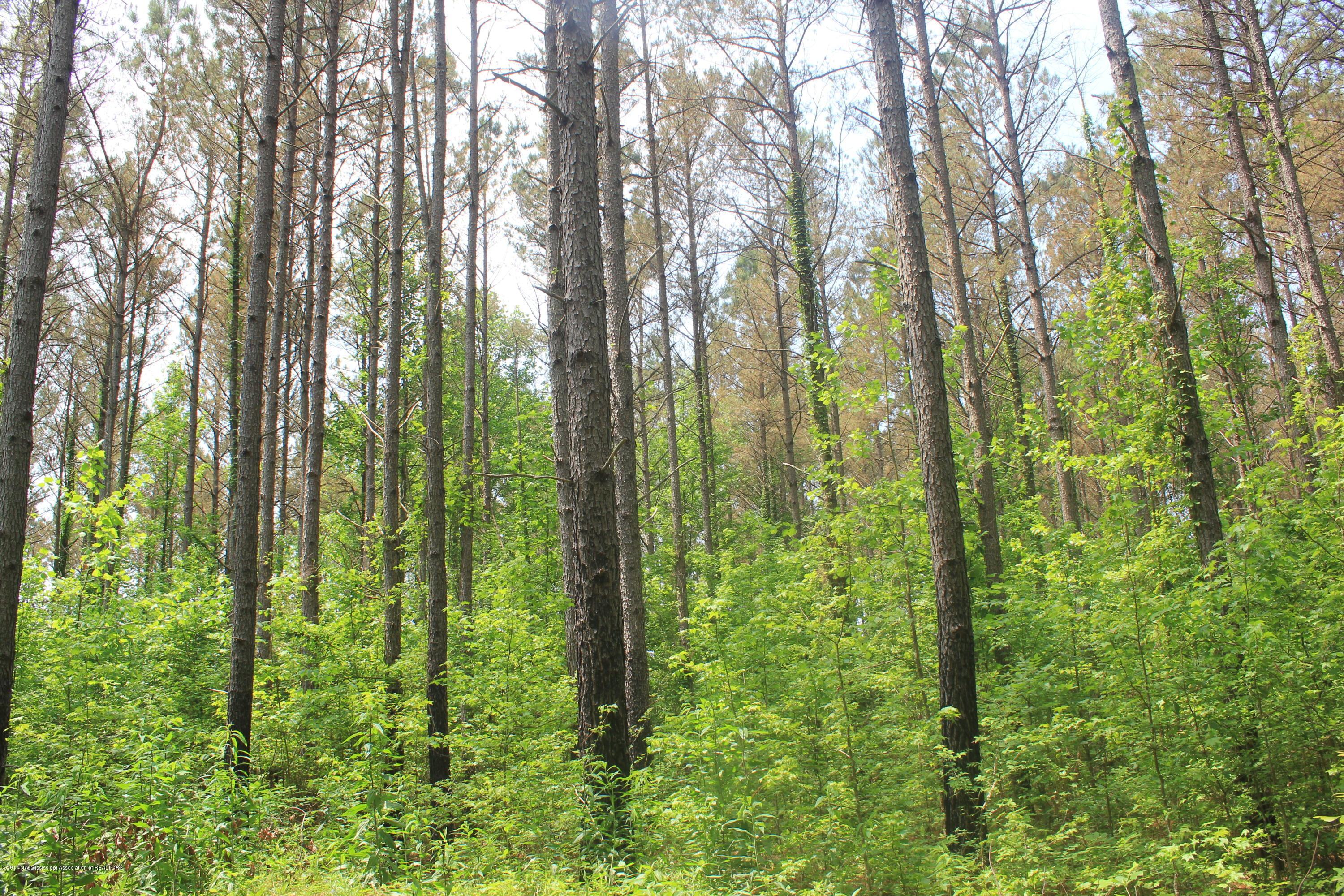 2 Smith Grove Road Holly Springs, MS 38635 - Photo 10 of 32 025