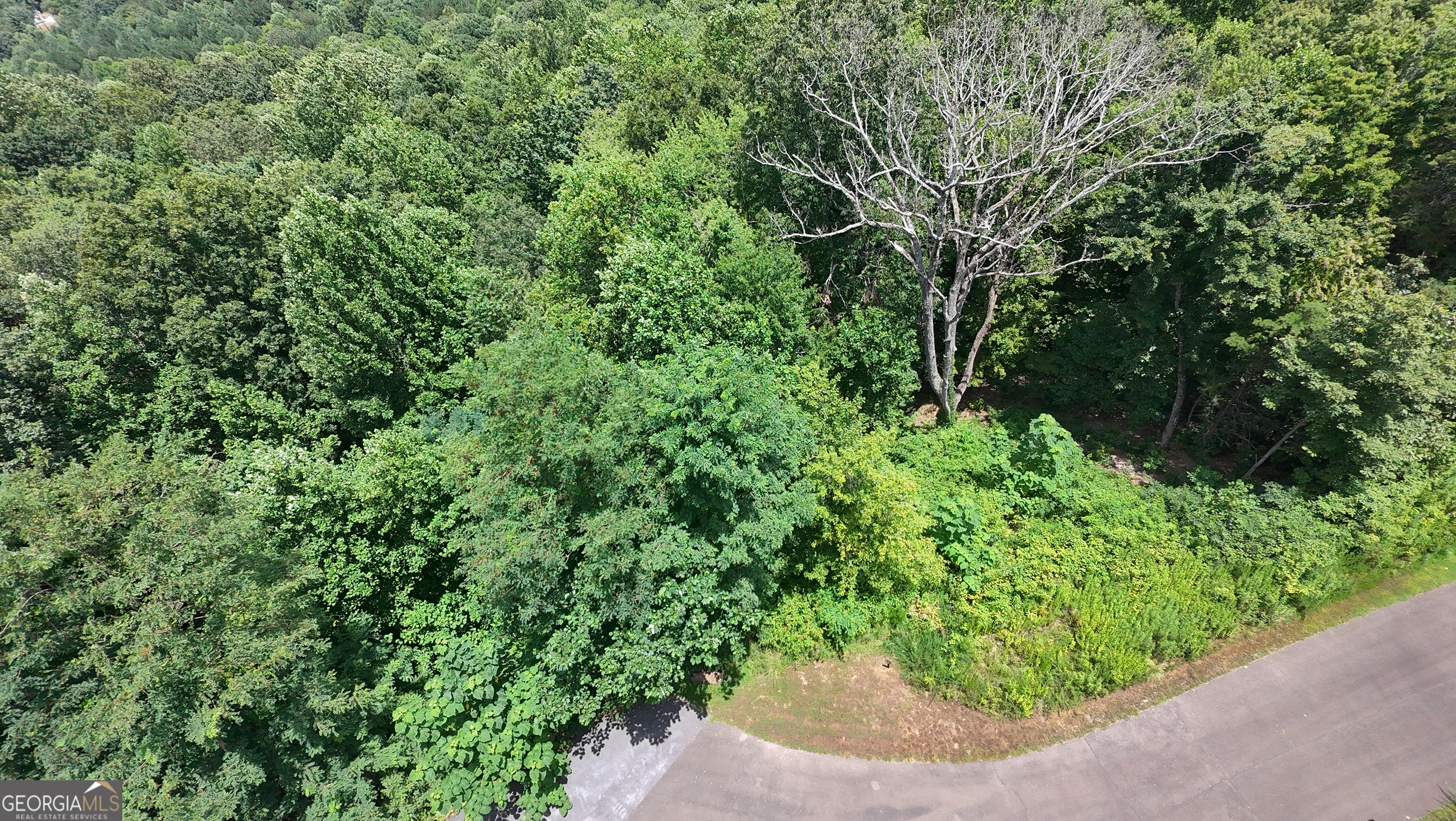 260 Running Bear Lane, Unit 14 Ellijay, GA 30536 - Photo 2 of 12 a view of a garden