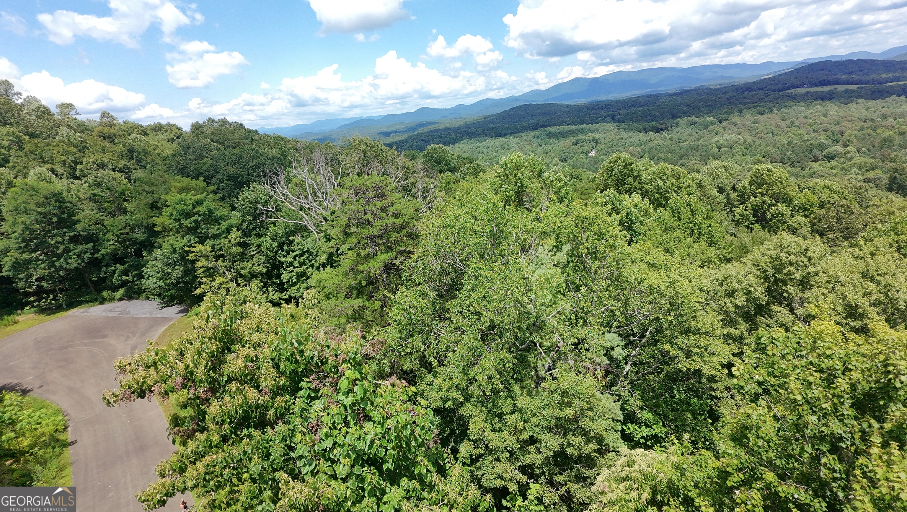 260 Running Bear Lane, Unit 14 Ellijay, GA 30536 - Photo 5 of 12 a view of a yard