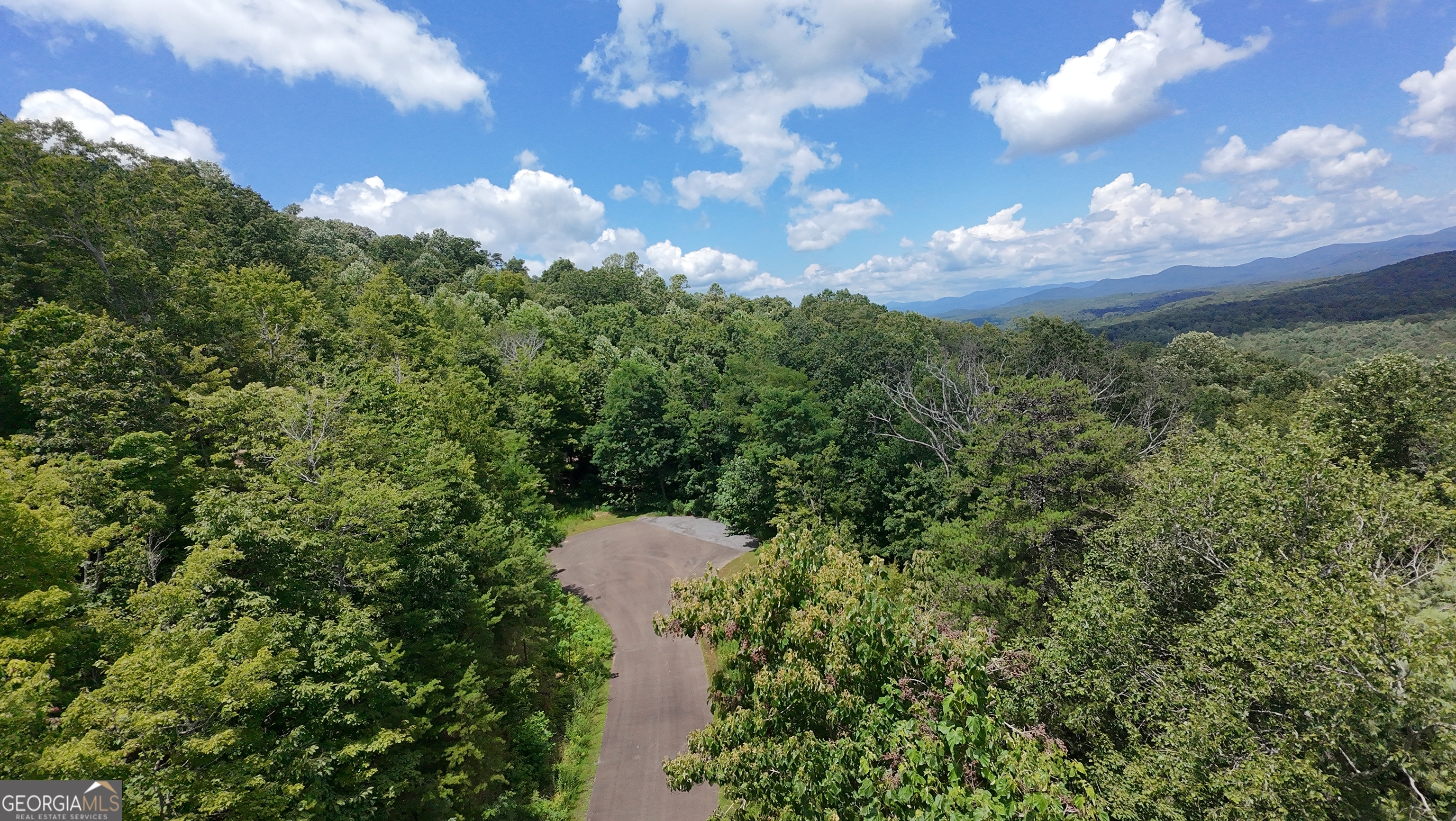 260 Running Bear Lane, Unit 14 Ellijay, GA 30536 - Photo 7 of 12 a view of a lake in middle of forest