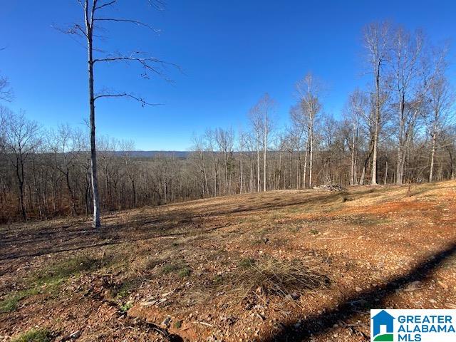 414 Stone Ridge, Unit 5 AND 6 Springville, AL 35146 - Photo 16 of 20