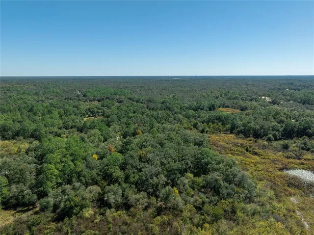 an aerial view of forest