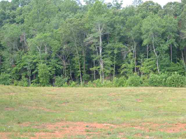 Lot 4 East Harper Ridge Drive Seneca, SC 29672 - Photo 1 of 3 Gallery Image 1