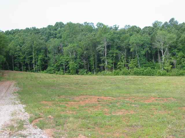 Lot 4 East Harper Ridge Drive Seneca, SC 29672 - Photo 3 of 3 Gallery Image 3