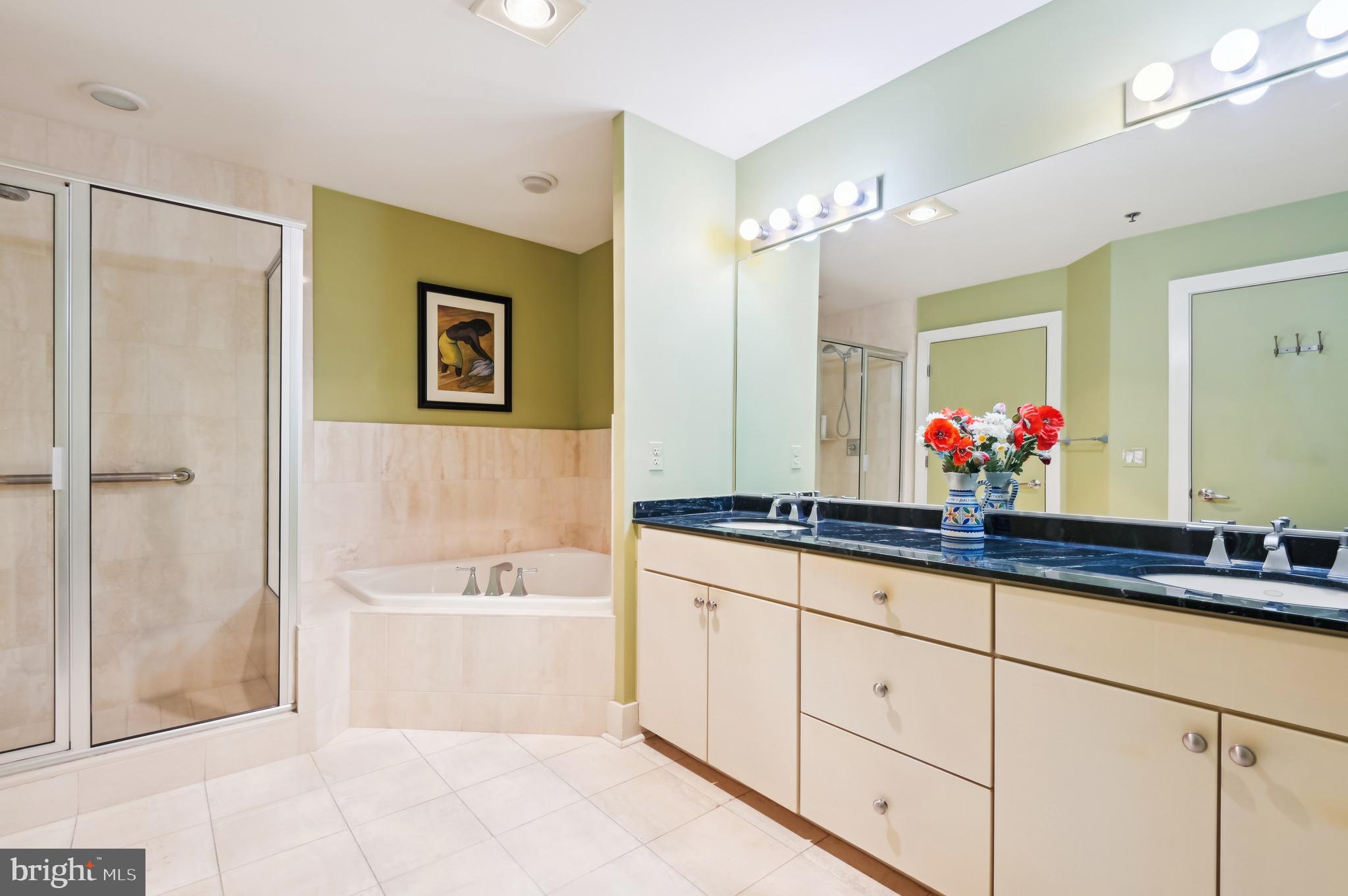 1400 Lancaster Street, Unit 605 Baltimore, MD 21231 - Photo 33 of 45 Primary Bathroom