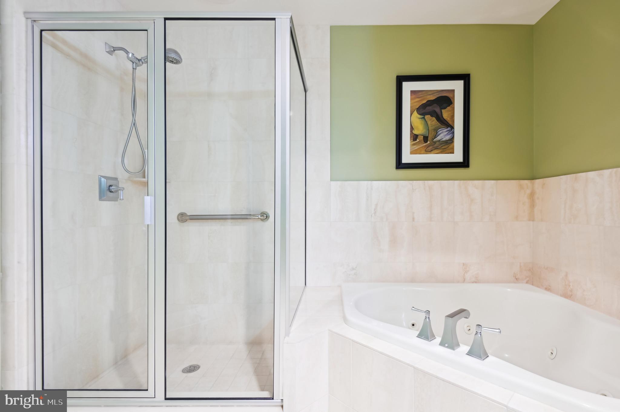 1400 Lancaster Street, Unit 605 Baltimore, MD 21231 - Photo 33 of 44 a bathroom with a bathtub and a shower