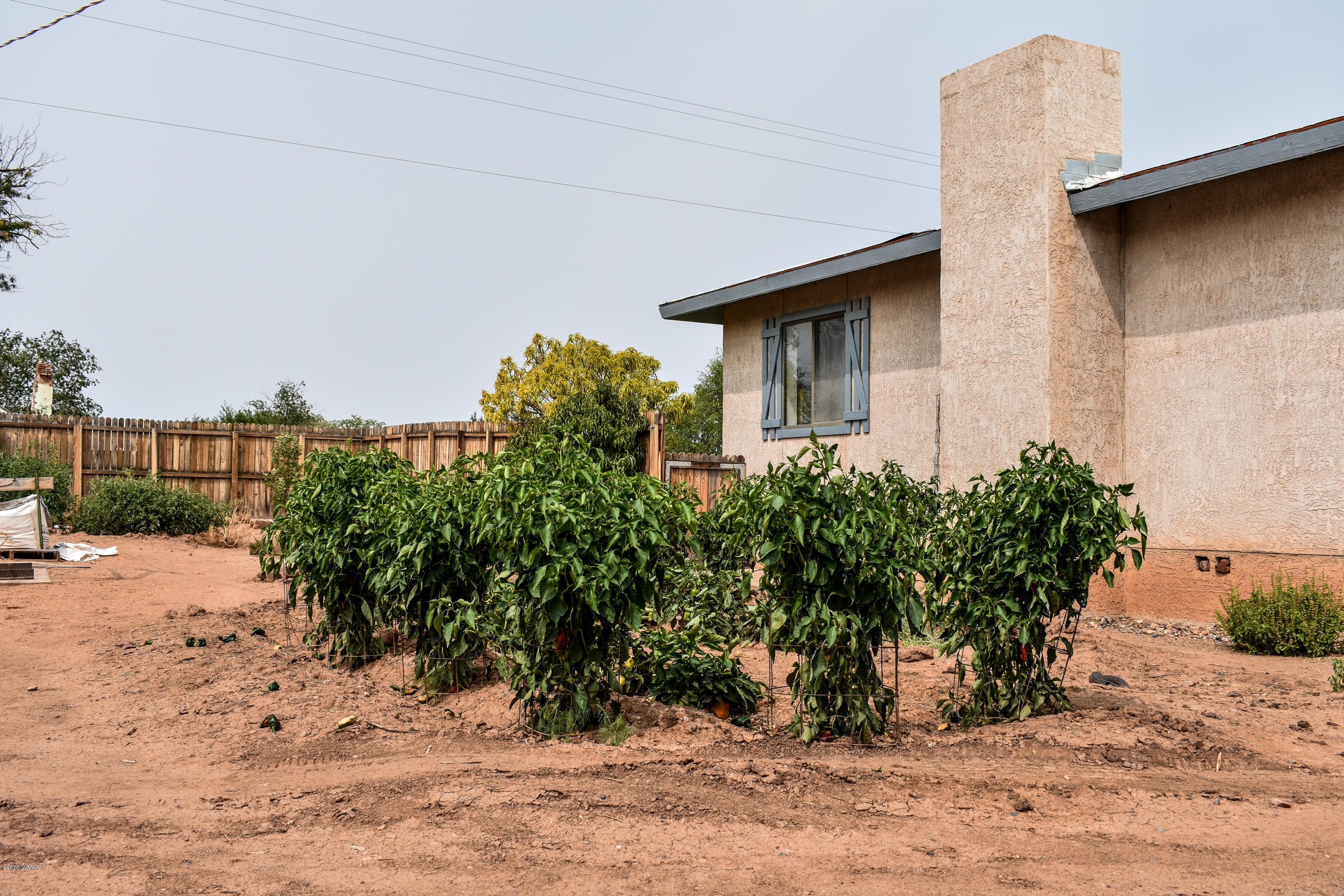 6431 Country Road Woodruff, AZ 85942 - Photo 12 of 32