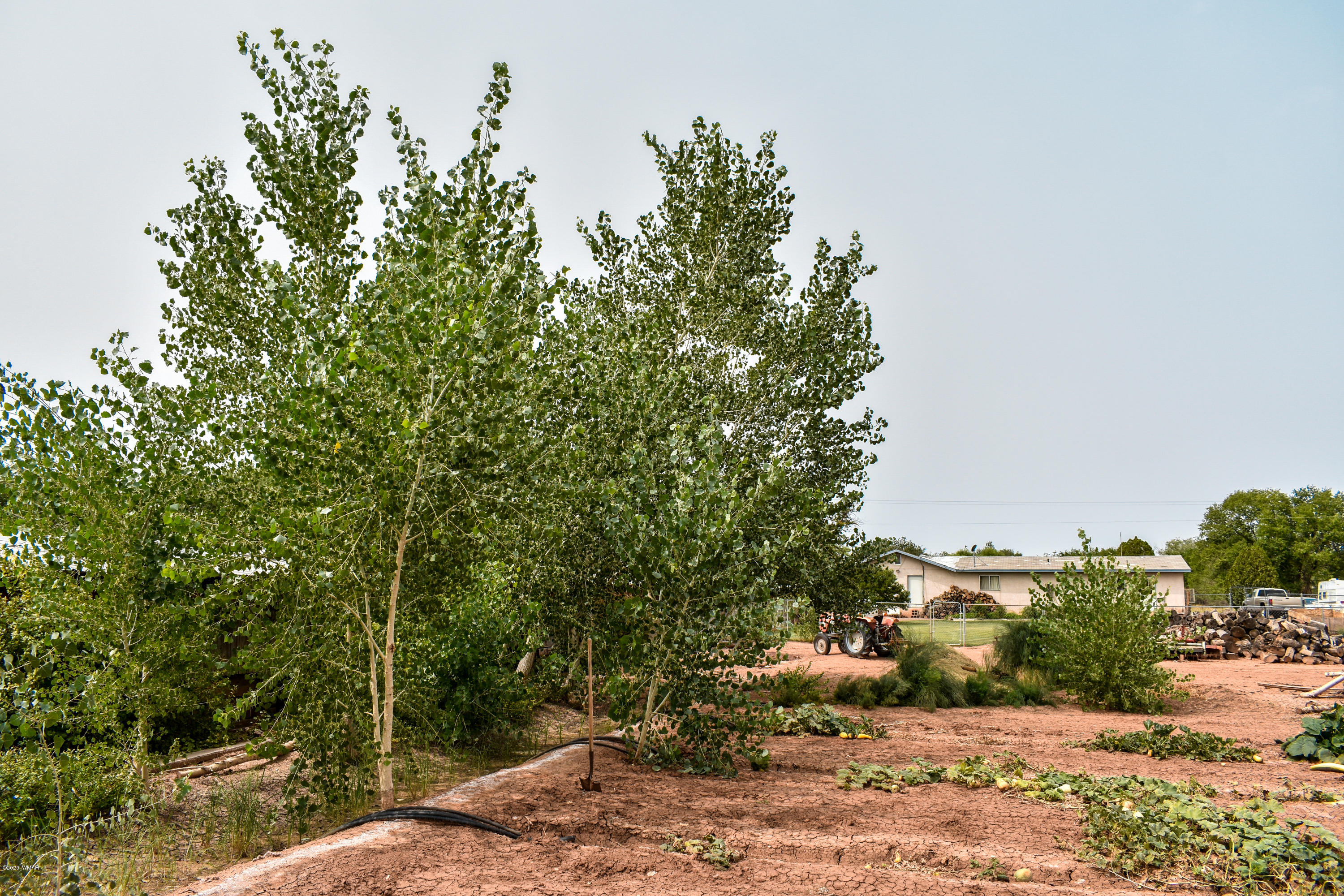 6431 Country Road Woodruff, AZ 85942 - Photo 27 of 32