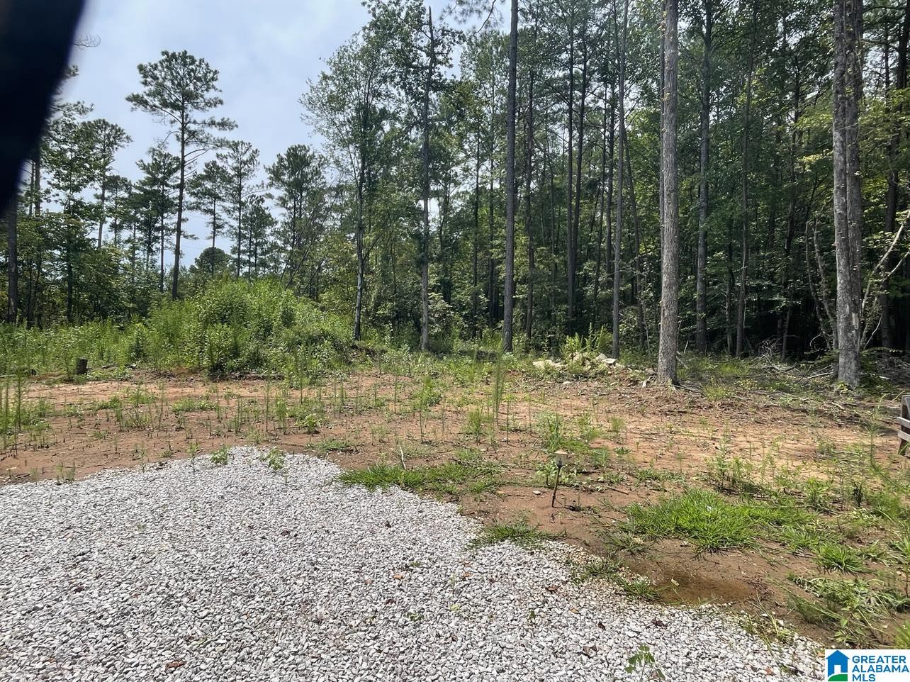 10568 Bama Rock Garden Road Vance, AL 35490 - Photo 10 of 16 Gallery Image 10