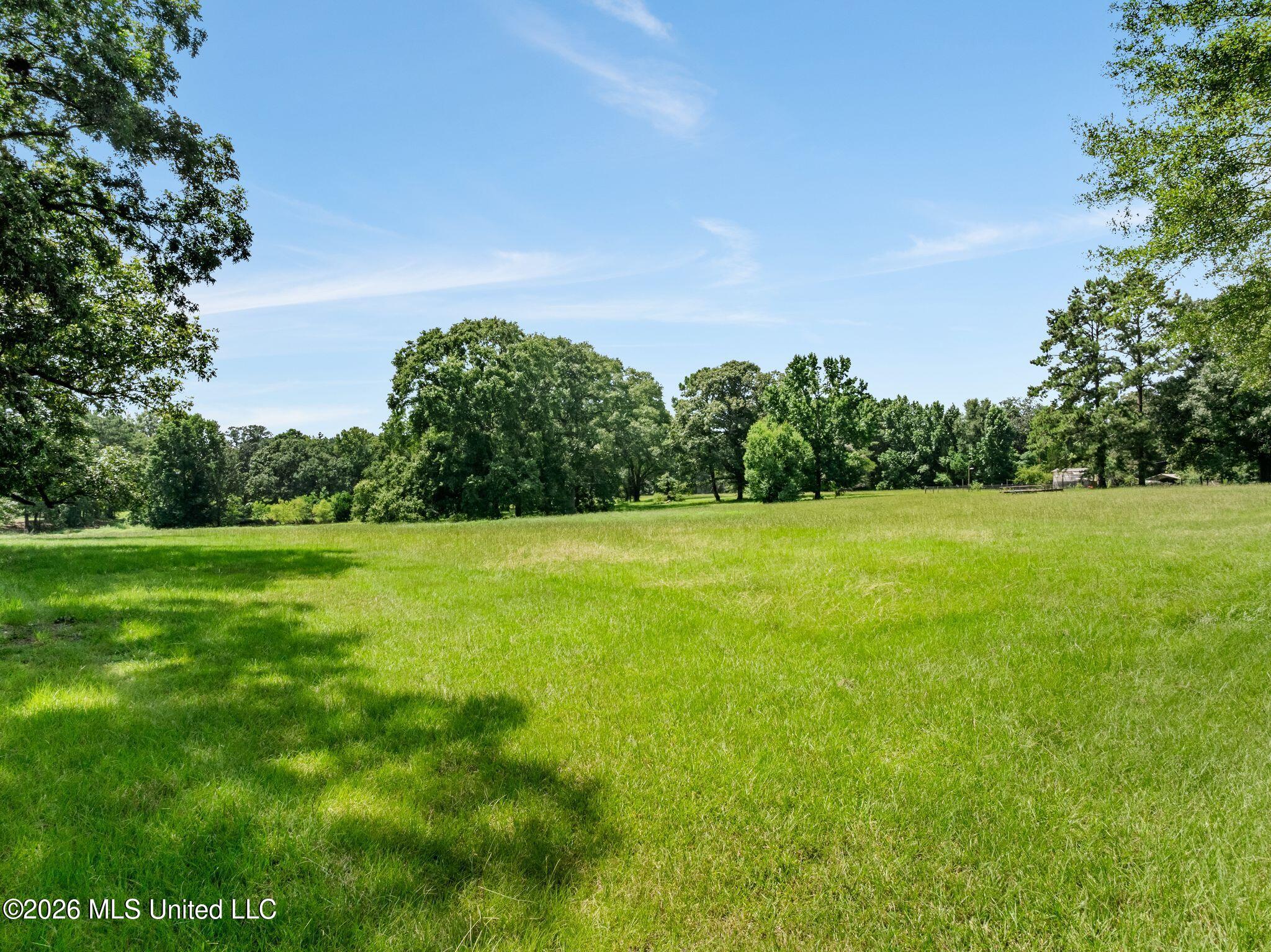 2111 Old Brookhaven Road Summit, MS 39666 - Photo 64 of 102 2111_Old_Brookhaven_Rd-88