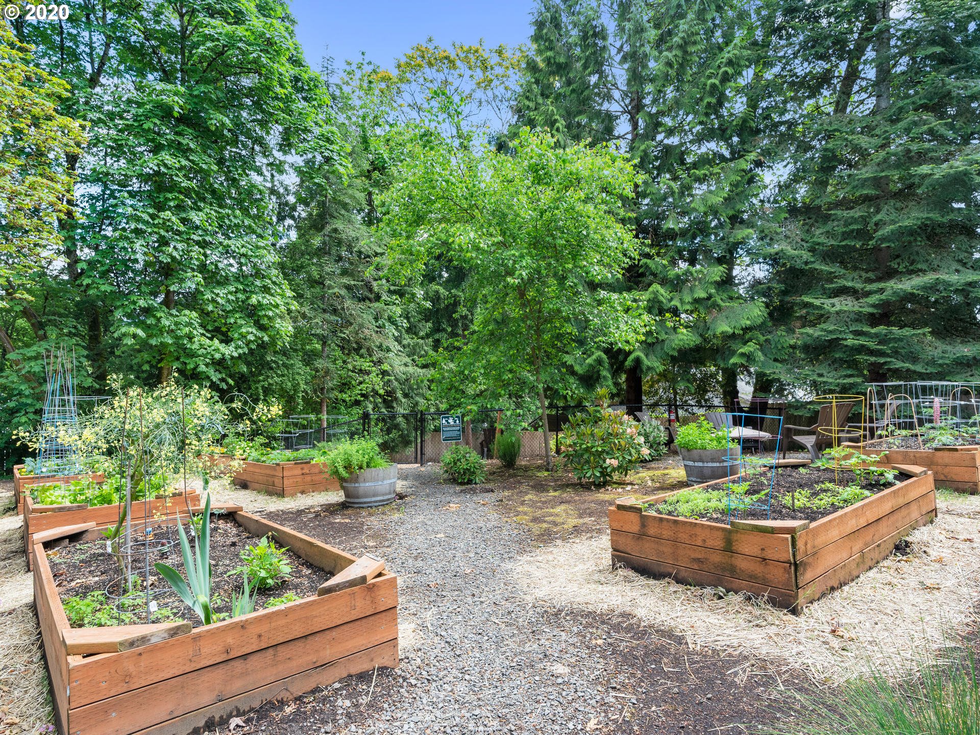 4880 Southwest Scholls Ferry Road, Unit 19 Portland, OR 97225 - Photo 30 of 31 Gallery Image 30