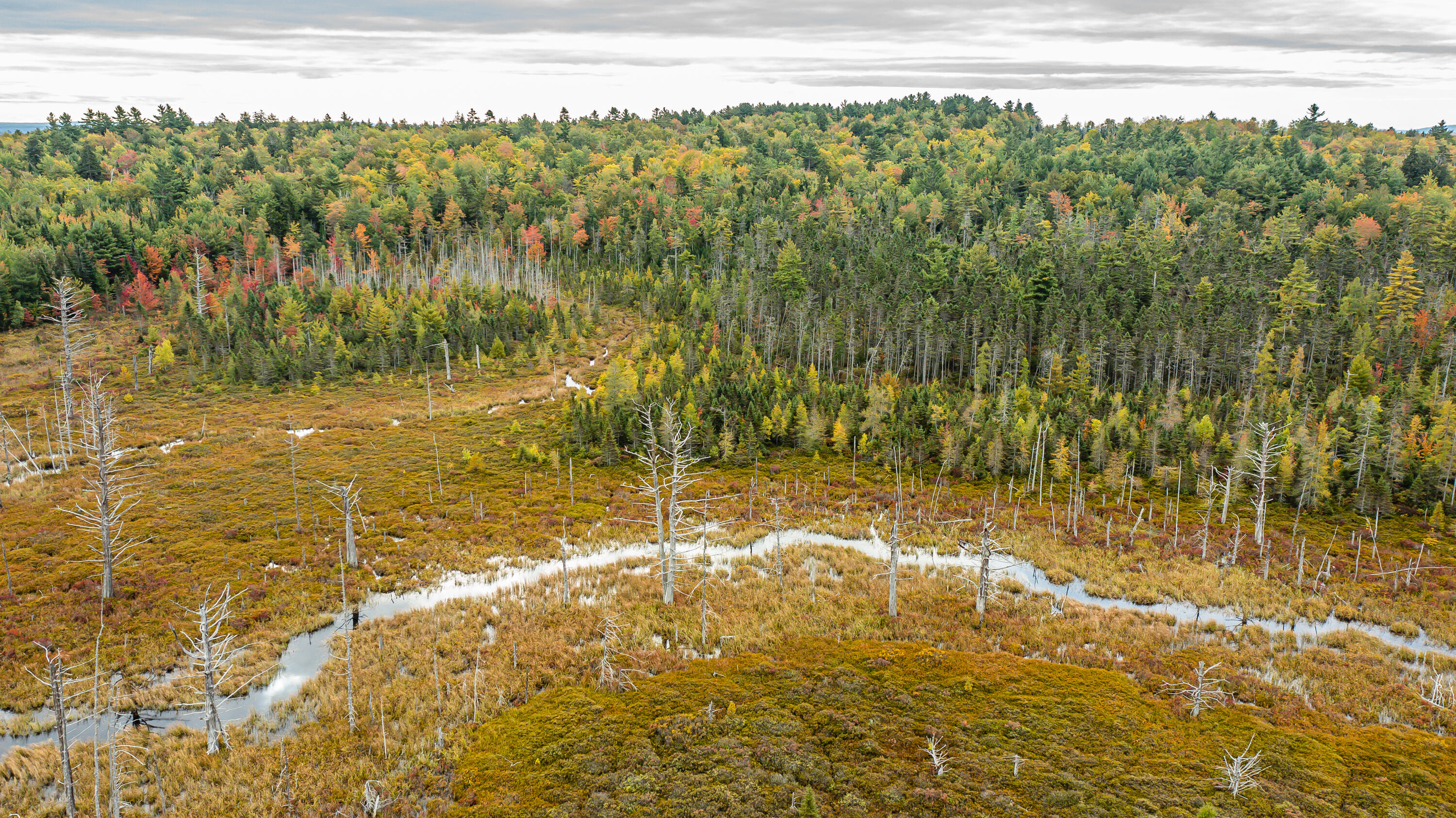 0 Bog Hill Road Searsport, ME 04974 - Photo 6 of 15 0167