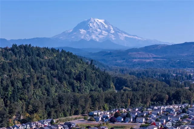 a view of a lot of trees in the background
