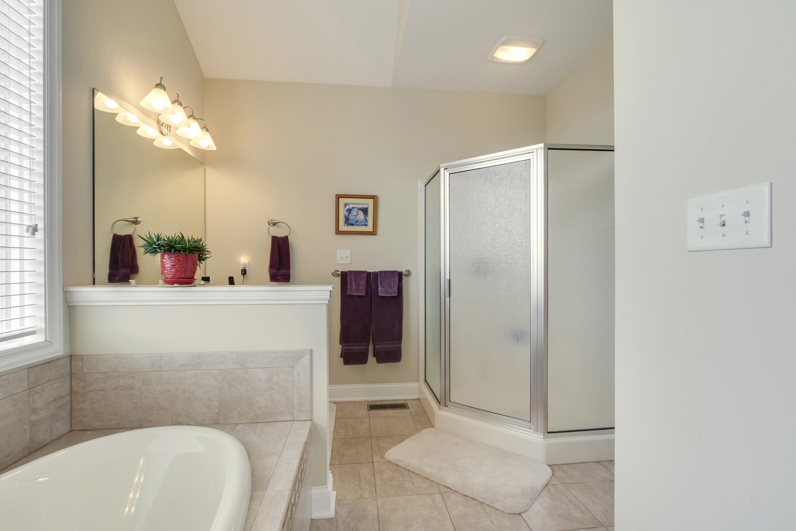 225 Sequoyah Road Loudon, TN 37774 - Photo 22 of 36 22_225 Sequoyah Road_MasterBath02