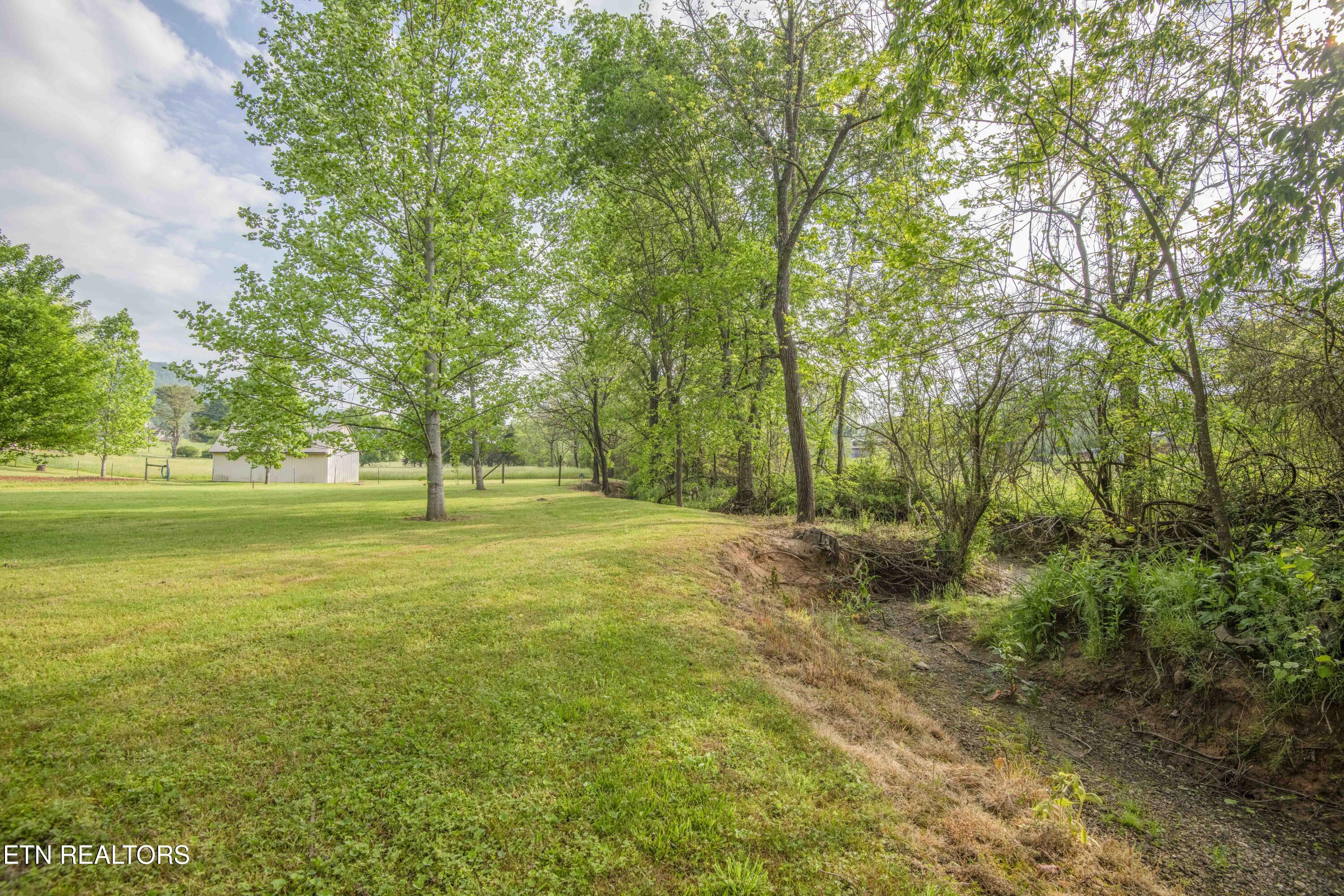469 Old Dutch Valley Road Clinton, TN 37716 - Photo 42 of 47 yard 1_1