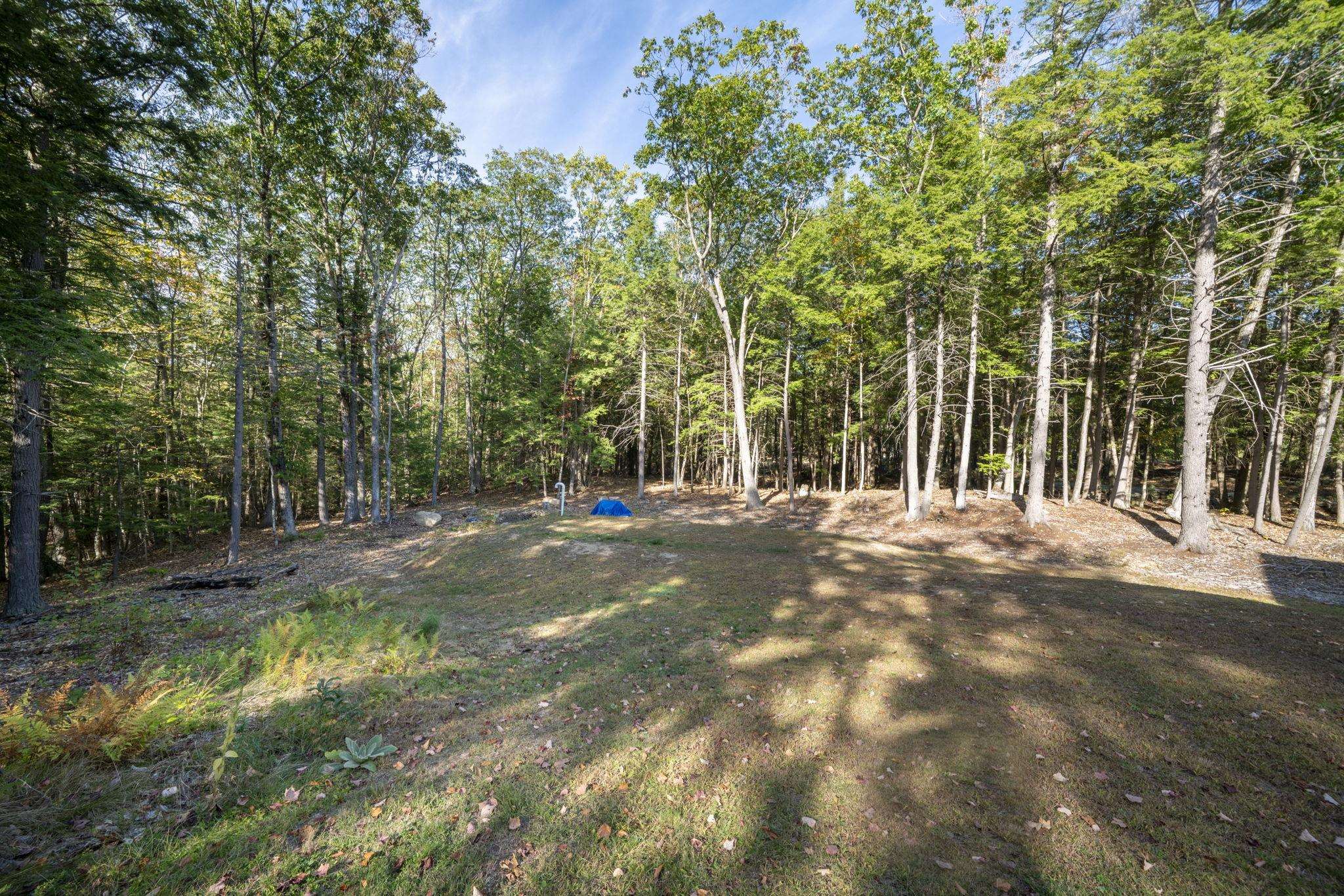 308 Reservoir Road Deering, NH 03244 - Photo 8 of 37