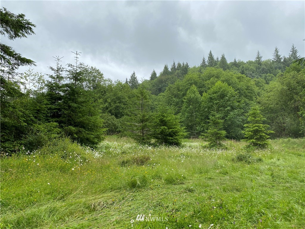 -xxx West Beeville Loop Road Matlock, WA 98560 - Photo 3 of 13 Gallery Image 3