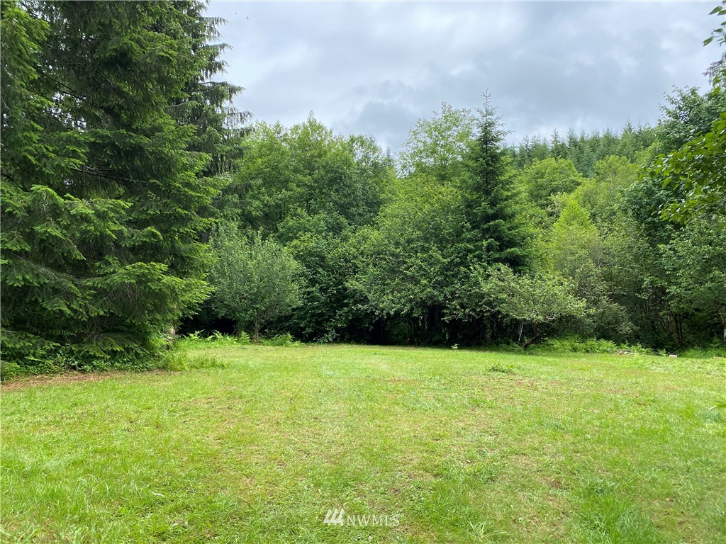 -xxx West Beeville Loop Road Matlock, WA 98560 - Photo 6 of 13 Gallery Image 6
